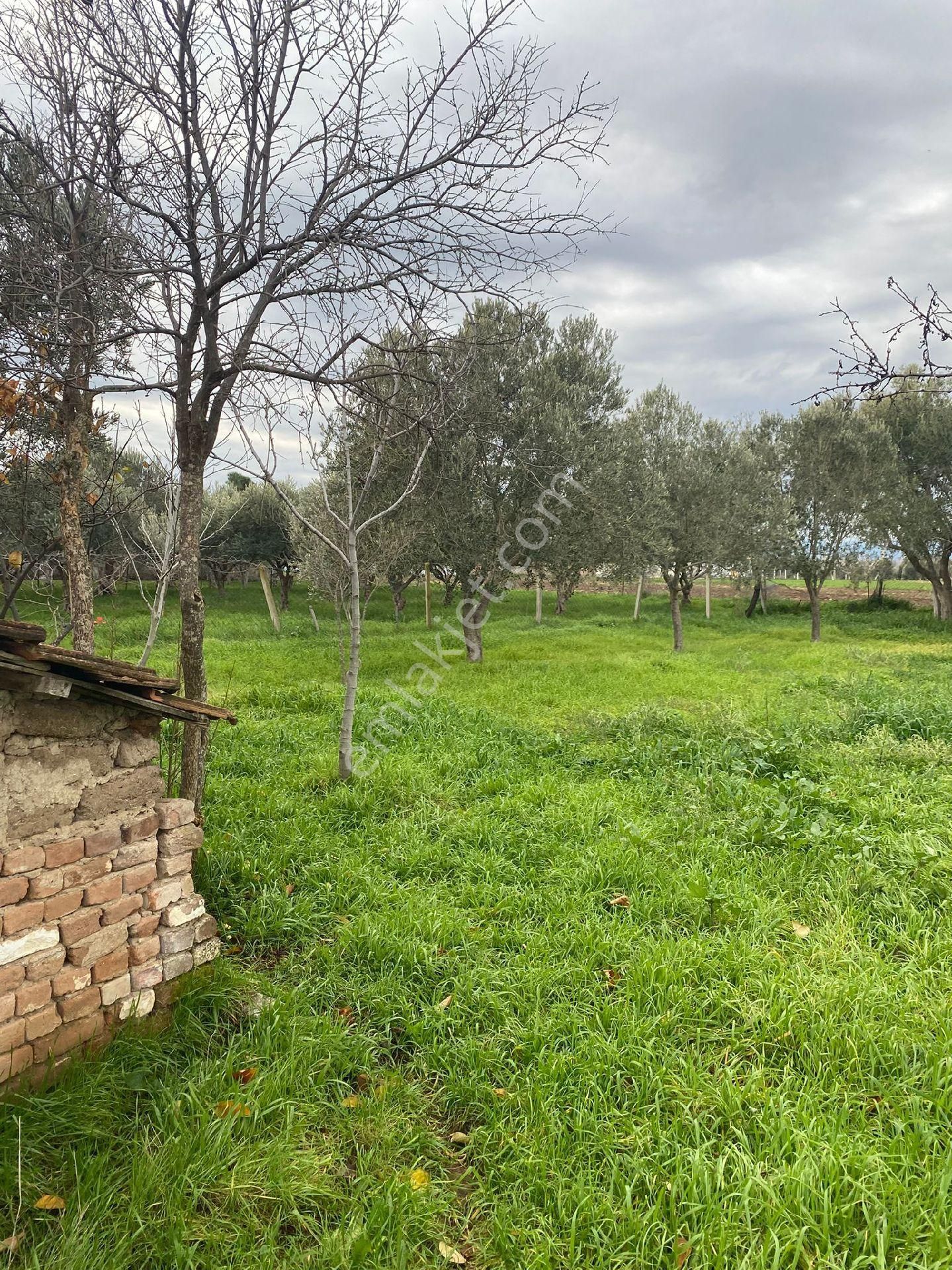 Satılık Müstakil Köy Evi - Görsel 15