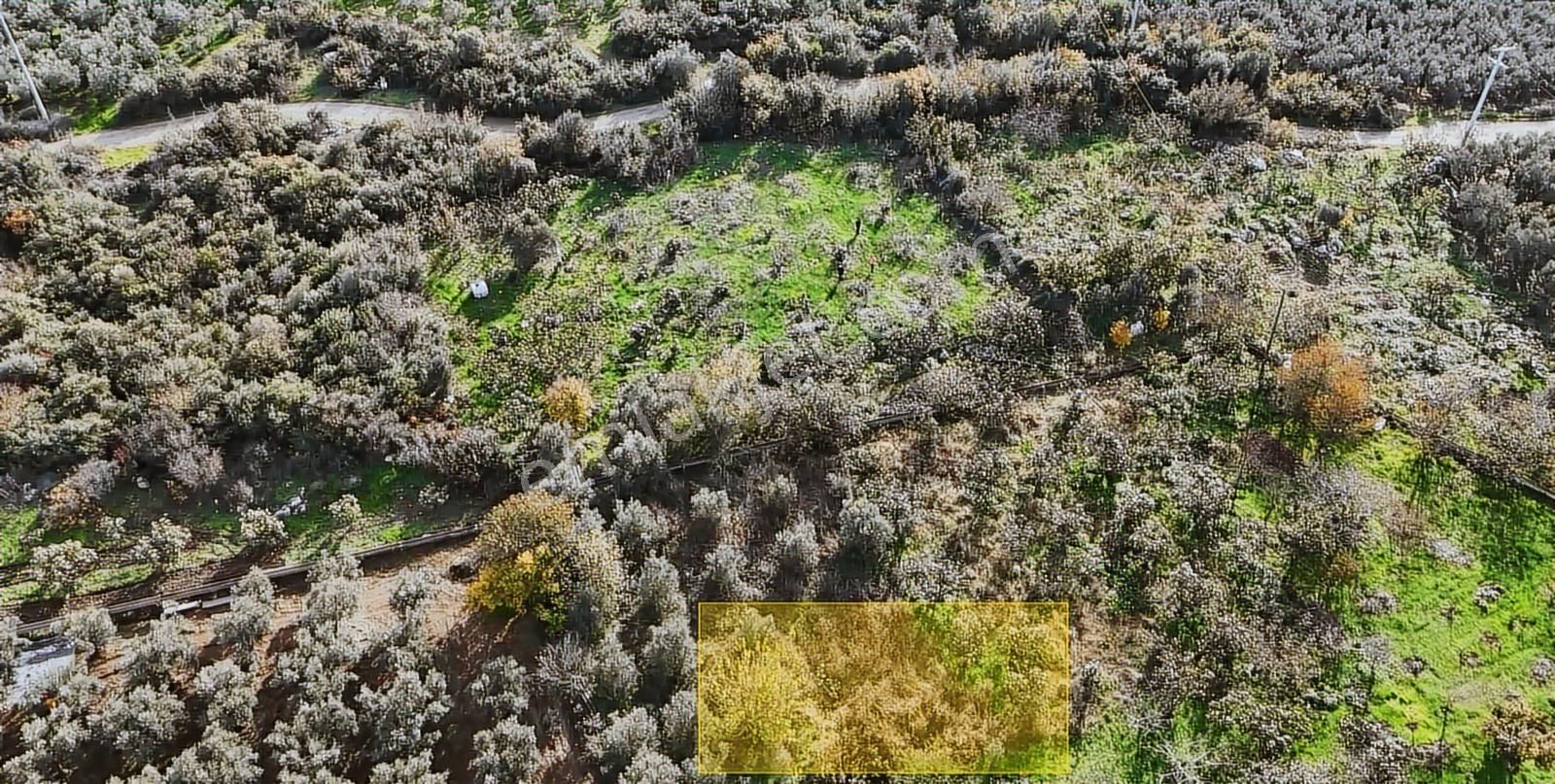 Nilüfer Gölyazı Satılık Hobi Bahçelik Müstakil Tarla