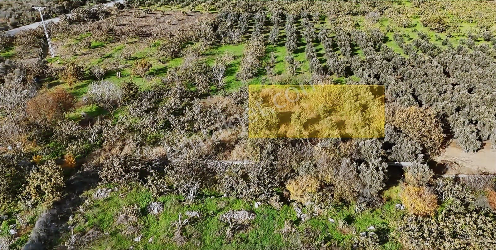 Nilüfer Gölyazı Satılık Hobi Bahçelik Müstakil Tarla - Görsel 3