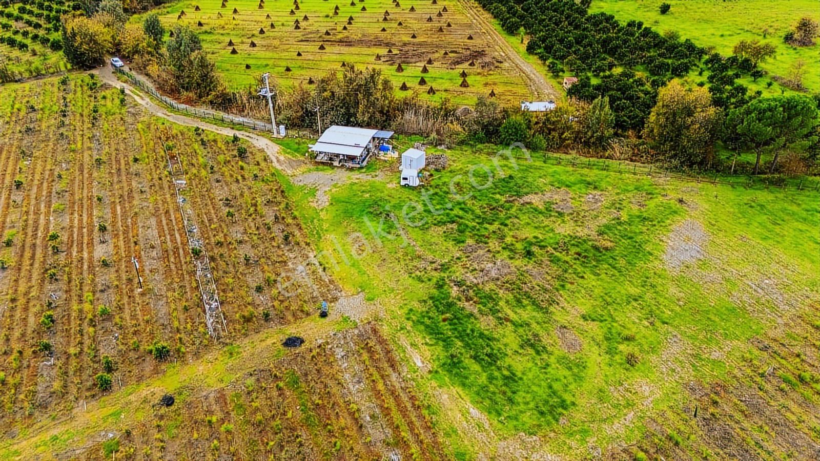 Cbmarina'dan Köyceğiz Toparlar'da Müstakil Tapulu 40 Dönüm Tarla - Görsel 19