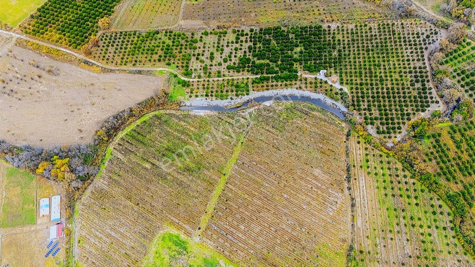 Cbmarina'dan Köyceğiz Toparlar'da Müstakil Tapulu 40 Dönüm Tarla - Görsel 5