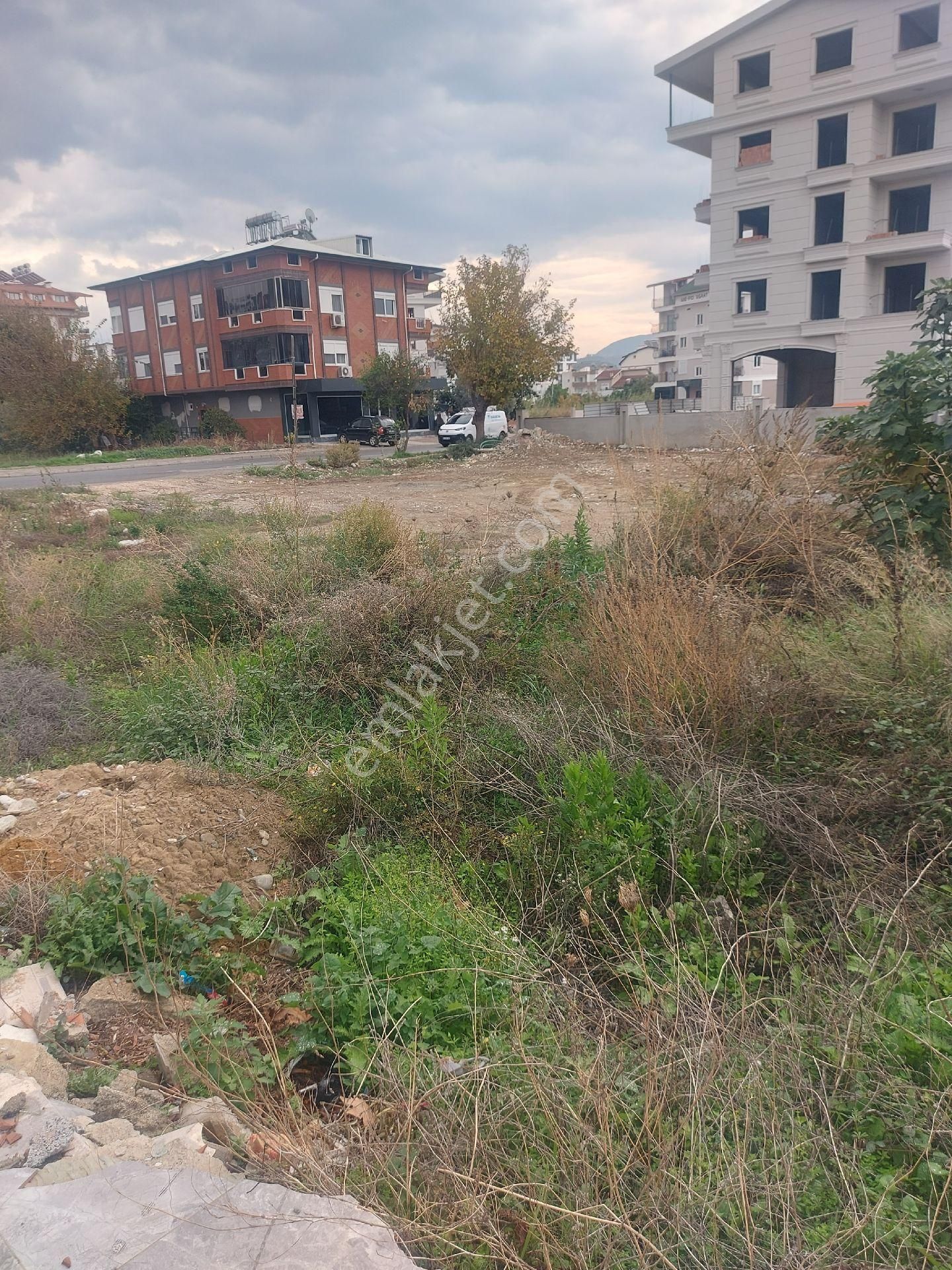 Gazipaşa Pazarcı Mahallesinde. Yola Sıfır Satılık Ticari Konut Arsası - Görsel 5