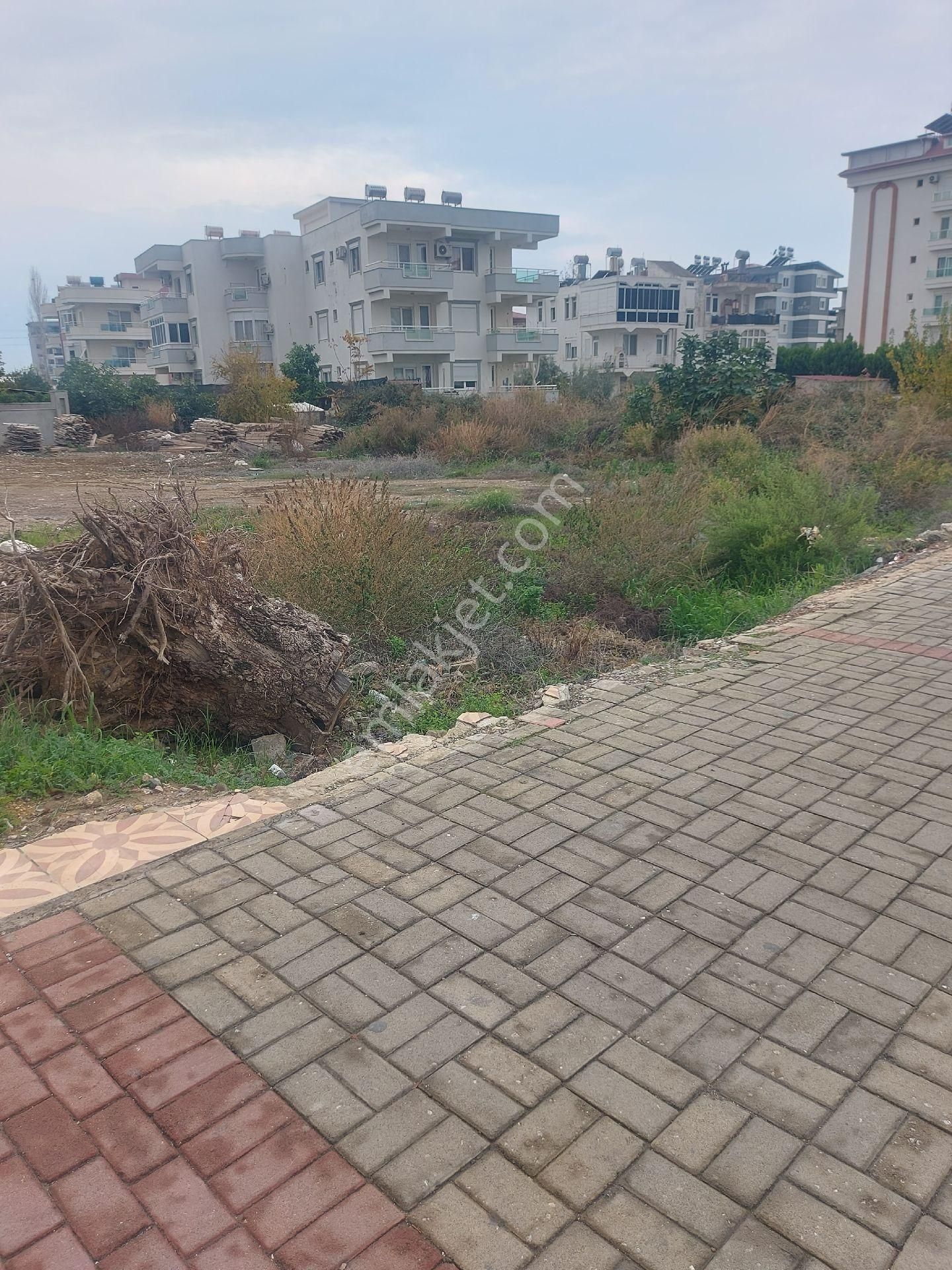 Gazipaşa Pazarcı Mahallesinde. Yola Sıfır Satılık Ticari Konut Arsası - Görsel 6