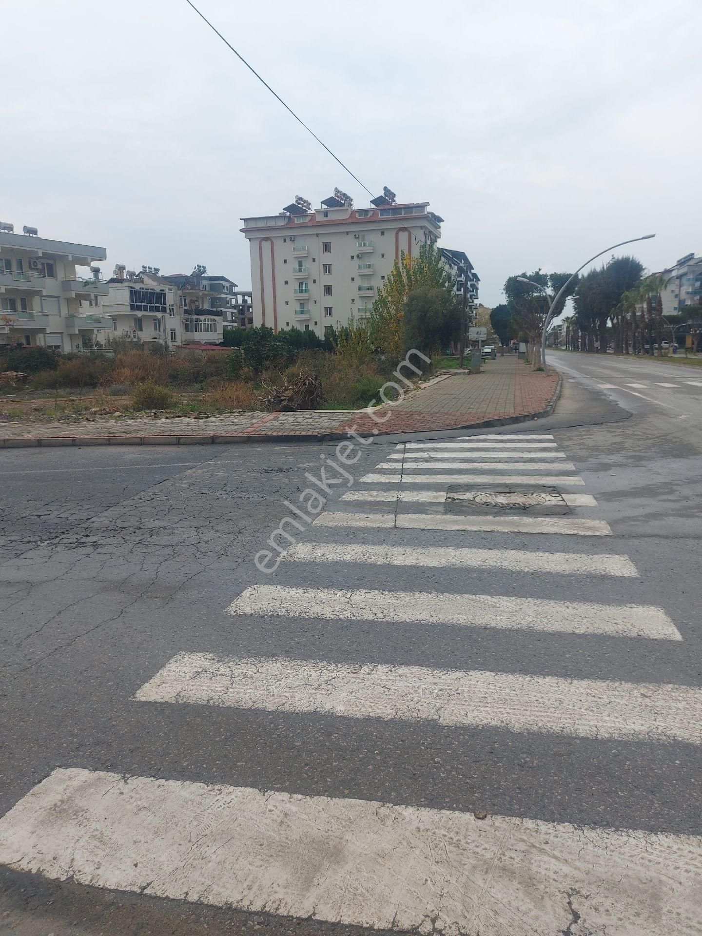 Gazipaşa Pazarcı Mahallesinde. Yola Sıfır Satılık Ticari Konut Arsası - Görsel 2