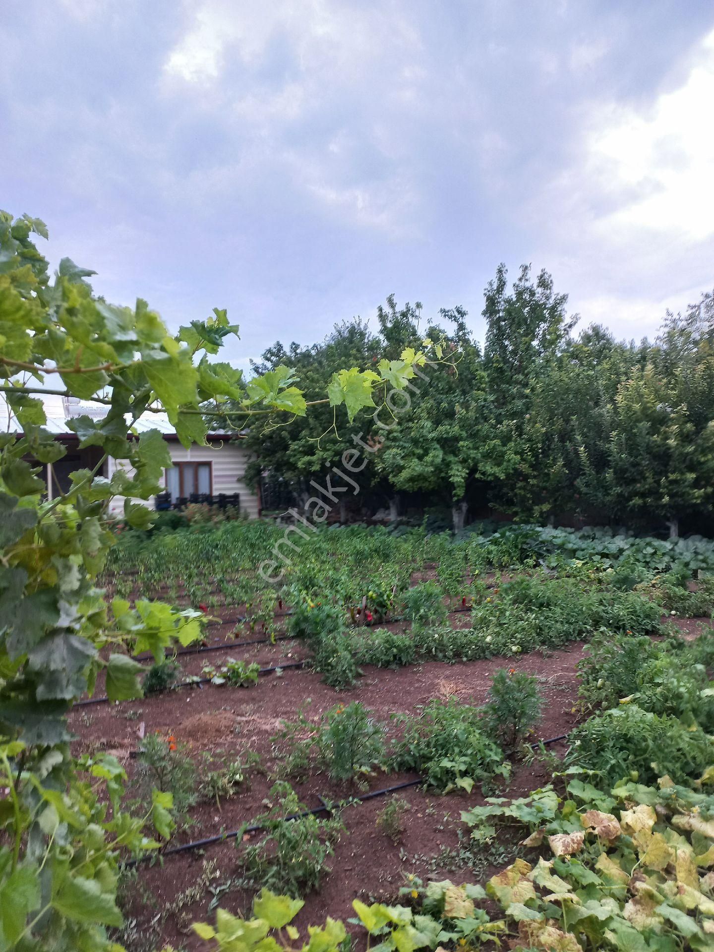 Karahüyük Mahallesi Satılık 912m² Bahçe - Görsel 2
