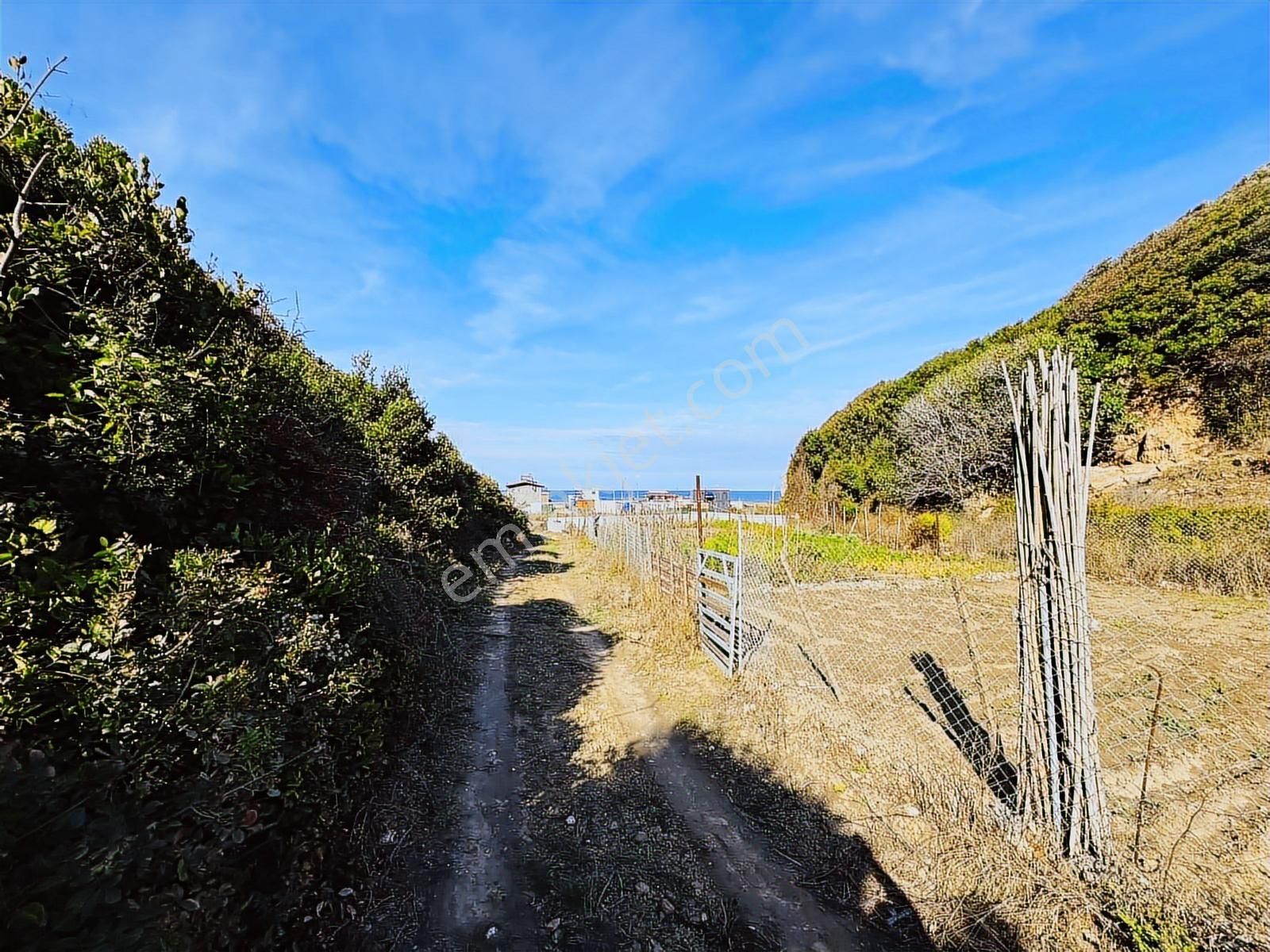 Tırpan Gayrimenkulden Eğerce Sahilde 1.500m2 Fırsat Arazi - Görsel 11