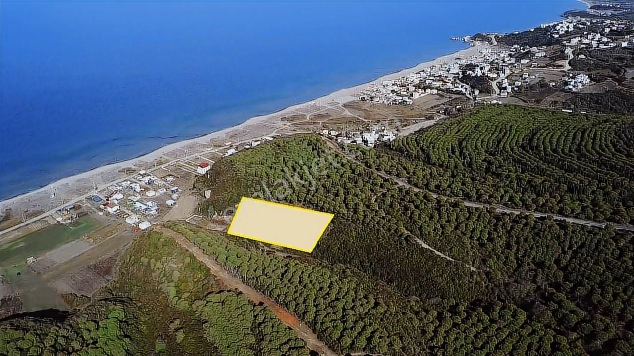 Tırpan Gayrimenkulden Eğerce Sahilde 1.500m2 Fırsat Arazi - Görsel 4