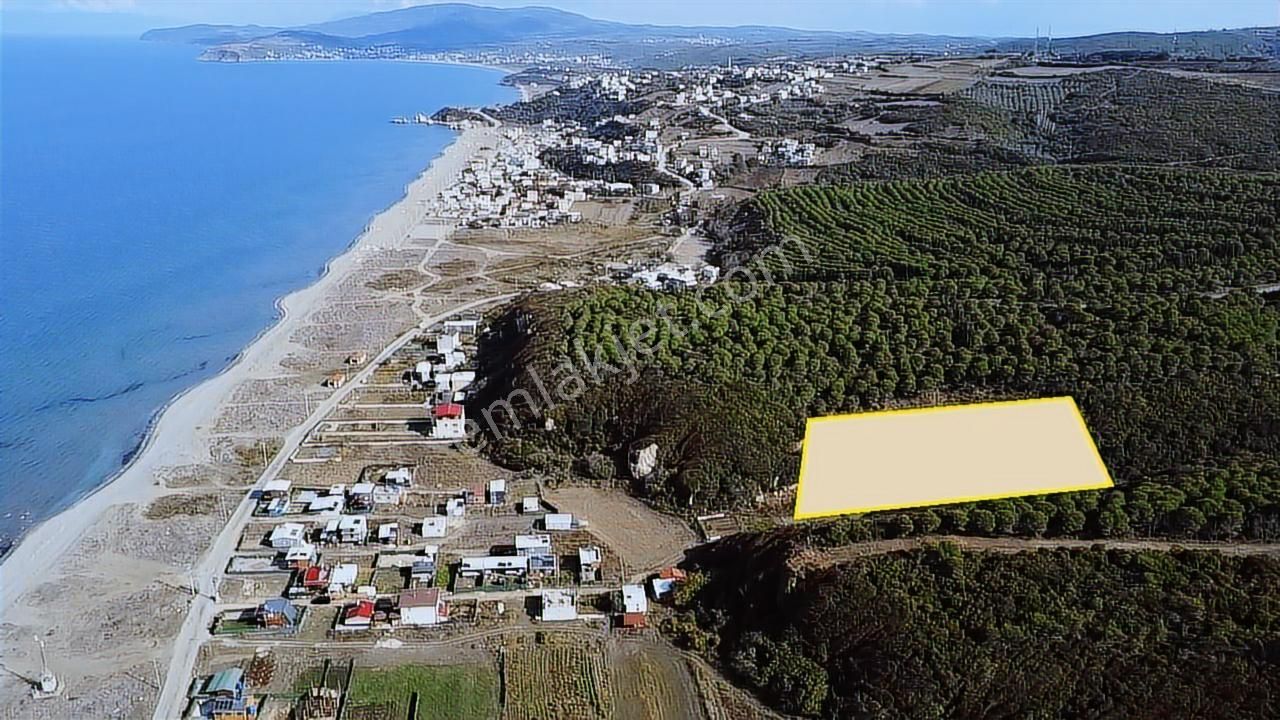 Tırpan Gayrimenkulden Eğerce Sahilde 1.500m2 Fırsat Arazi