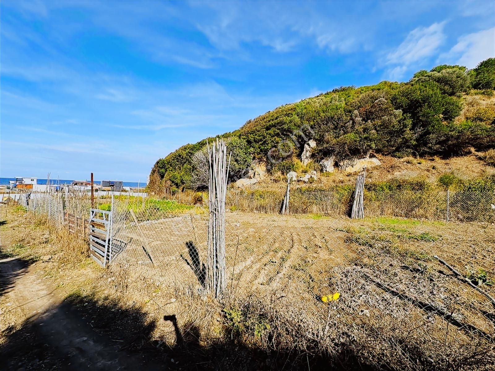 Tırpan Gayrimenkulden Eğerce Sahilde 1.500m2 Fırsat Arazi - Görsel 13