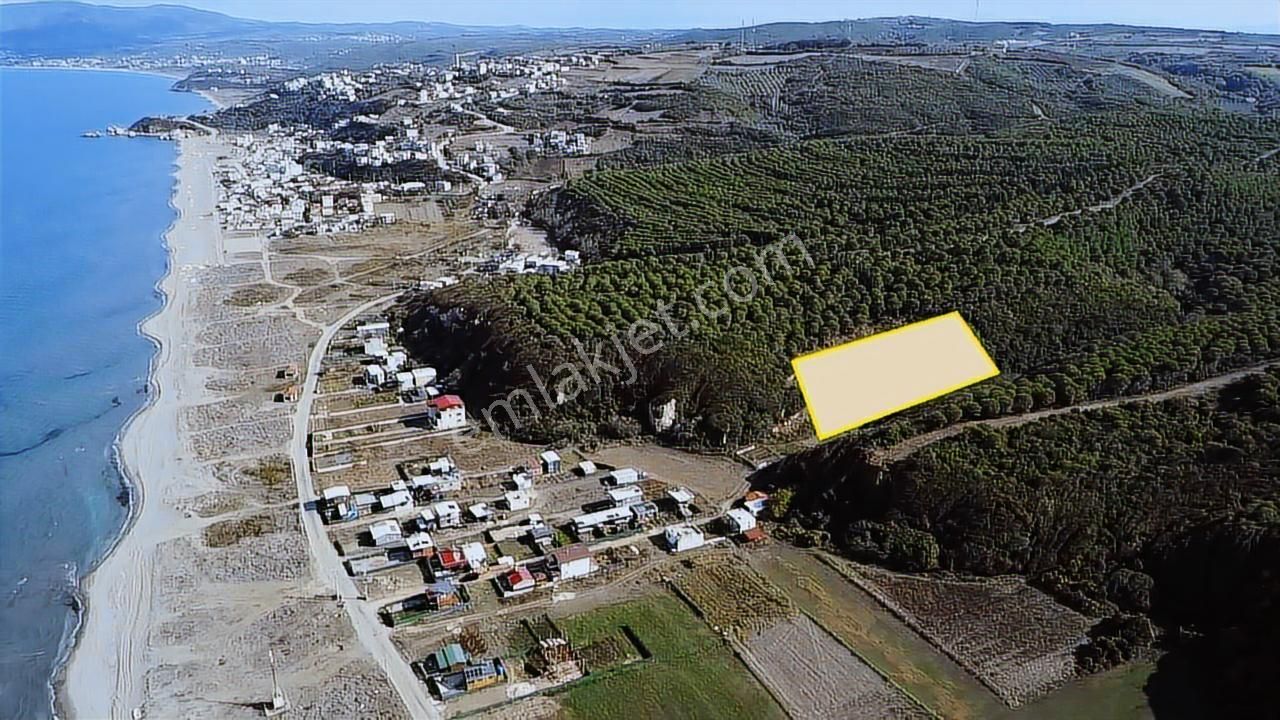 Tırpan Gayrimenkulden Eğerce Sahilde 1.500m2 Fırsat Arazi - Görsel 7