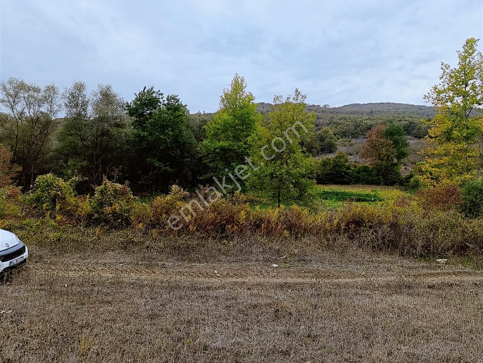 Kandıra Sarnıçlar'da 570m² Elektrikli, Sulu Arsa - Görsel 15