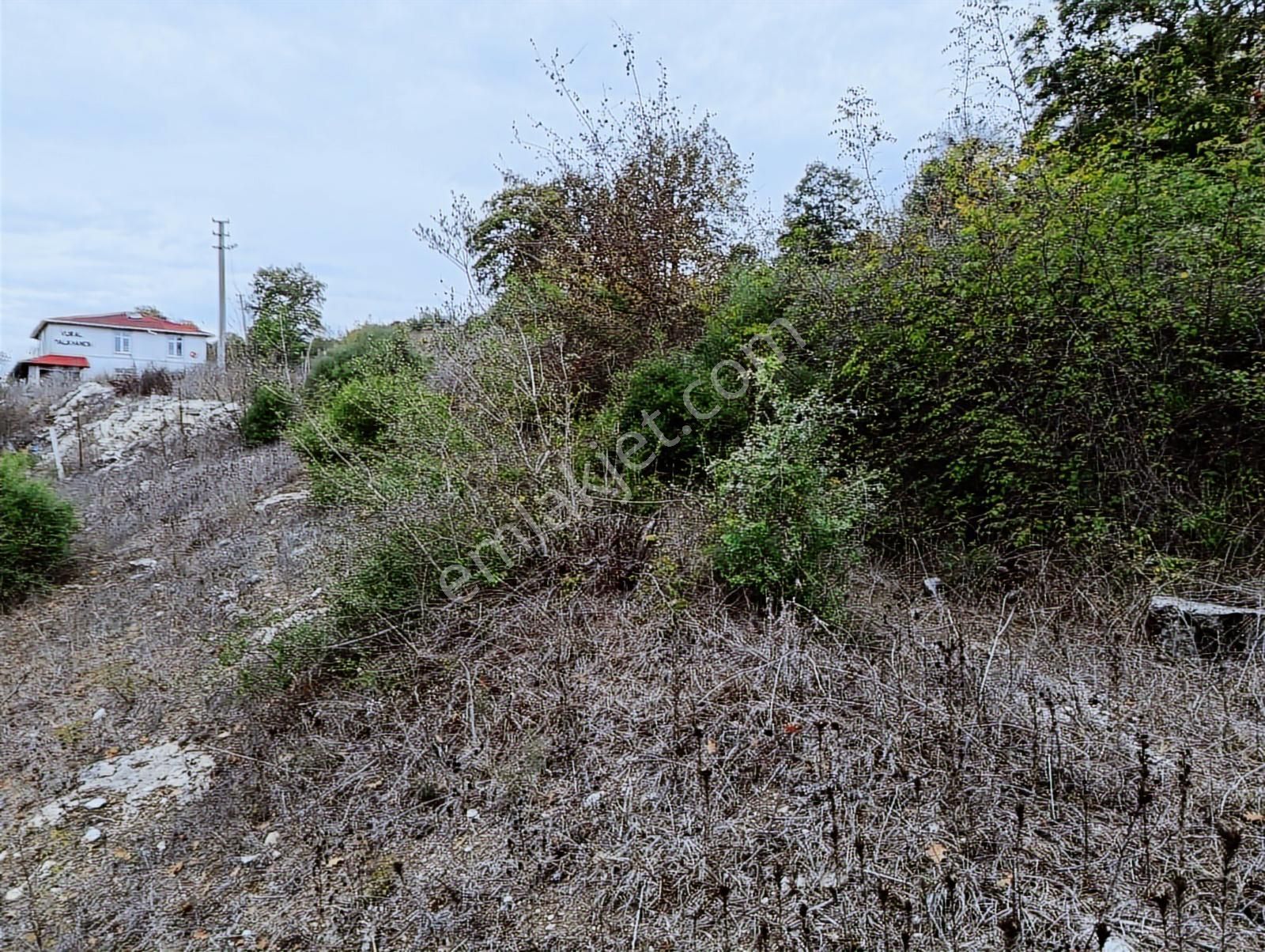 Kandıra Sarnıçlar'da 570m² Elektrikli, Sulu Arsa - Görsel 12