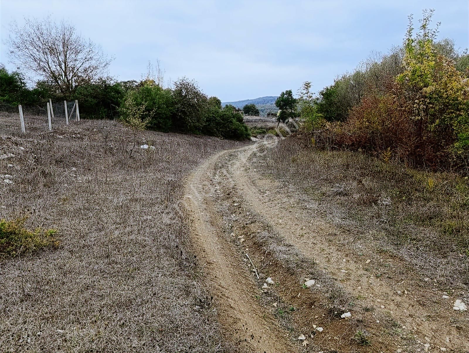 Kandıra Sarnıçlar'da 570m² Elektrikli, Sulu Arsa