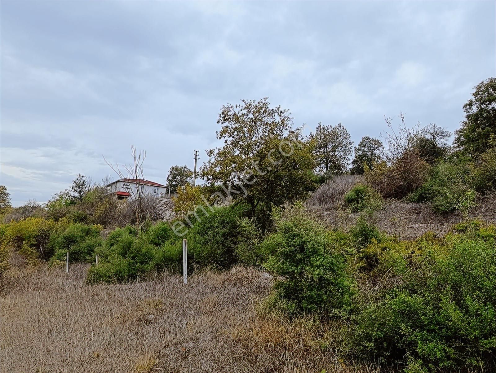Kandıra Sarnıçlar'da 570m² Elektrikli, Sulu Arsa - Görsel 3