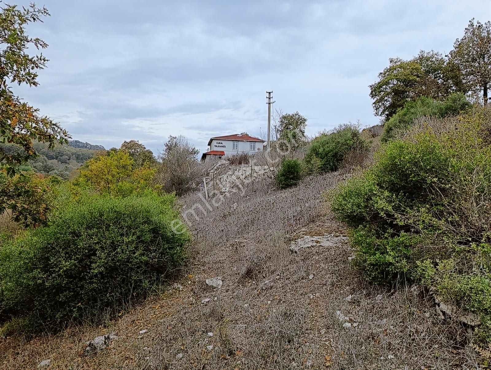 Kandıra Sarnıçlar'da 570m² Elektrikli, Sulu Arsa - Görsel 4