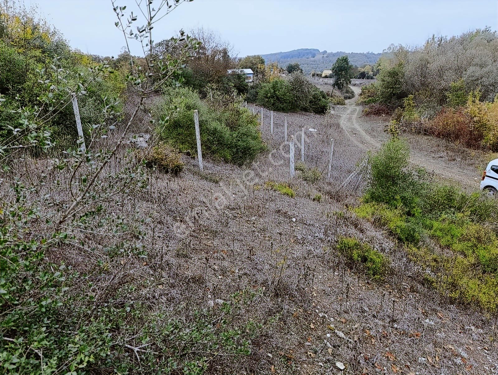 Kandıra Sarnıçlar'da 570m² Elektrikli, Sulu Arsa - Görsel 17