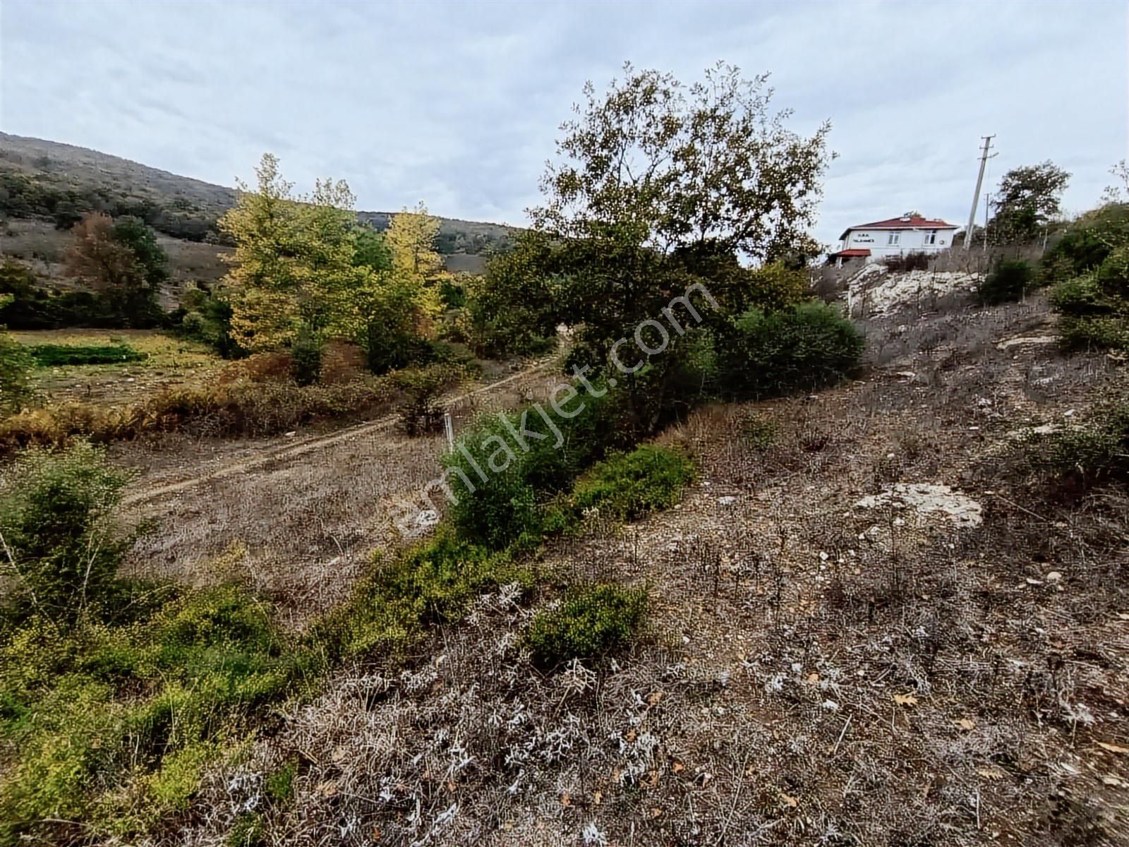 Kandıra Sarnıçlar'da 570m² Elektrikli, Sulu Arsa - Görsel 19