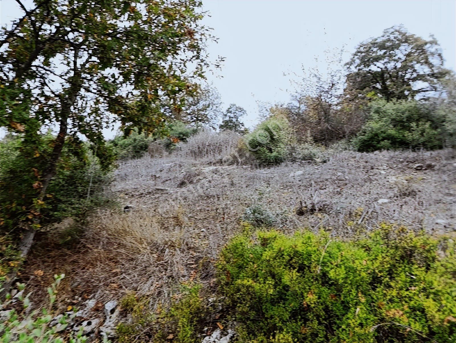 Kandıra Sarnıçlar'da 570m² Elektrikli, Sulu Arsa - Görsel 6