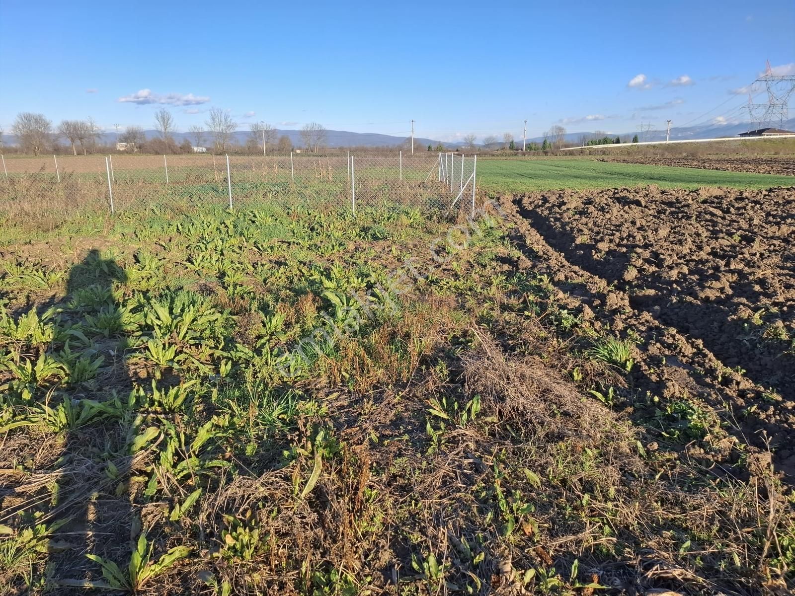 Abalıda Yol Kenarı Yatırımlık Fırsat ! 750 M2 Harika Lokasyon ! - Görsel 3