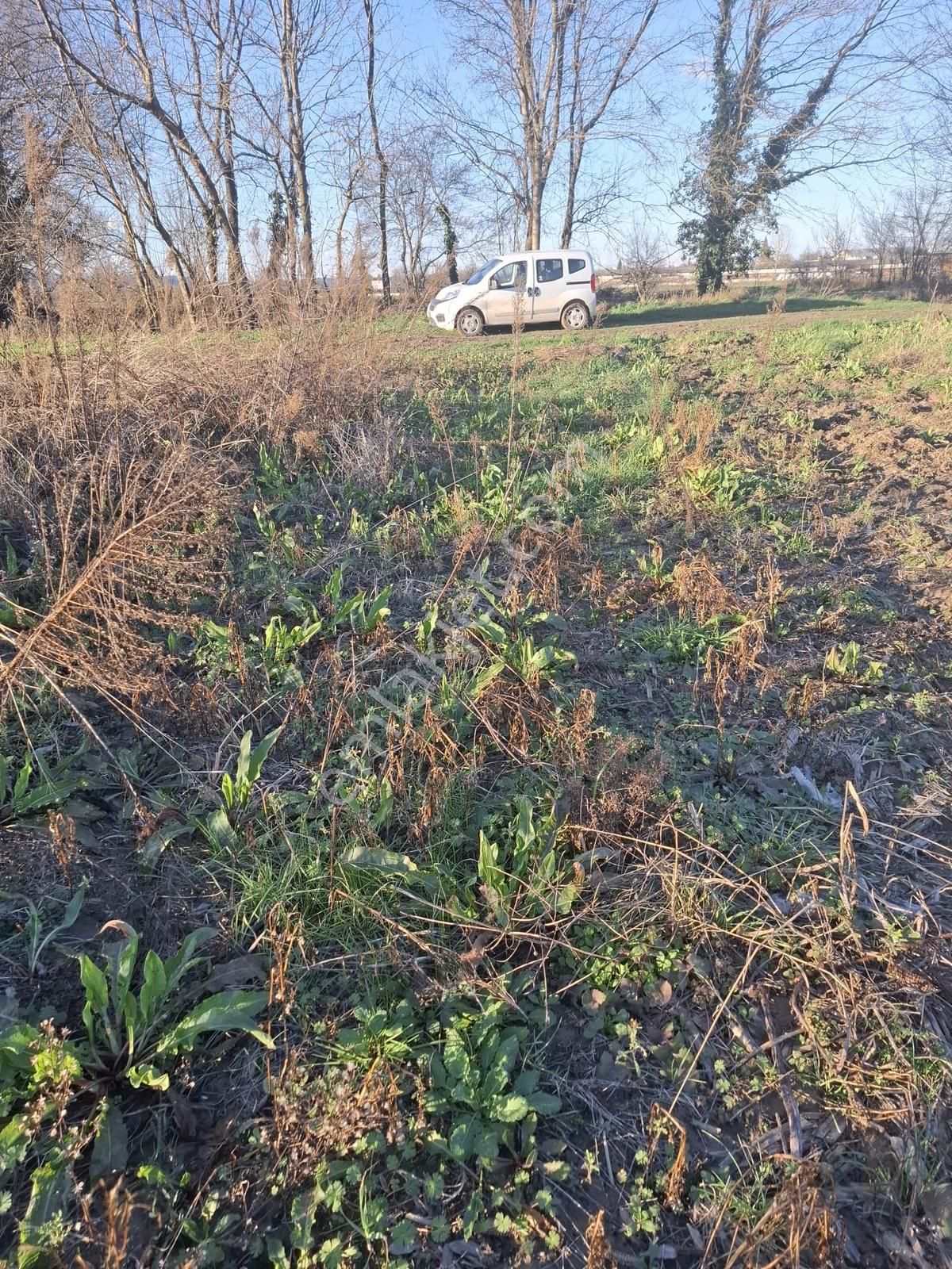 Abalıda Yol Kenarı Yatırımlık Fırsat ! 750 M2 Harika Lokasyon ! - Görsel 5