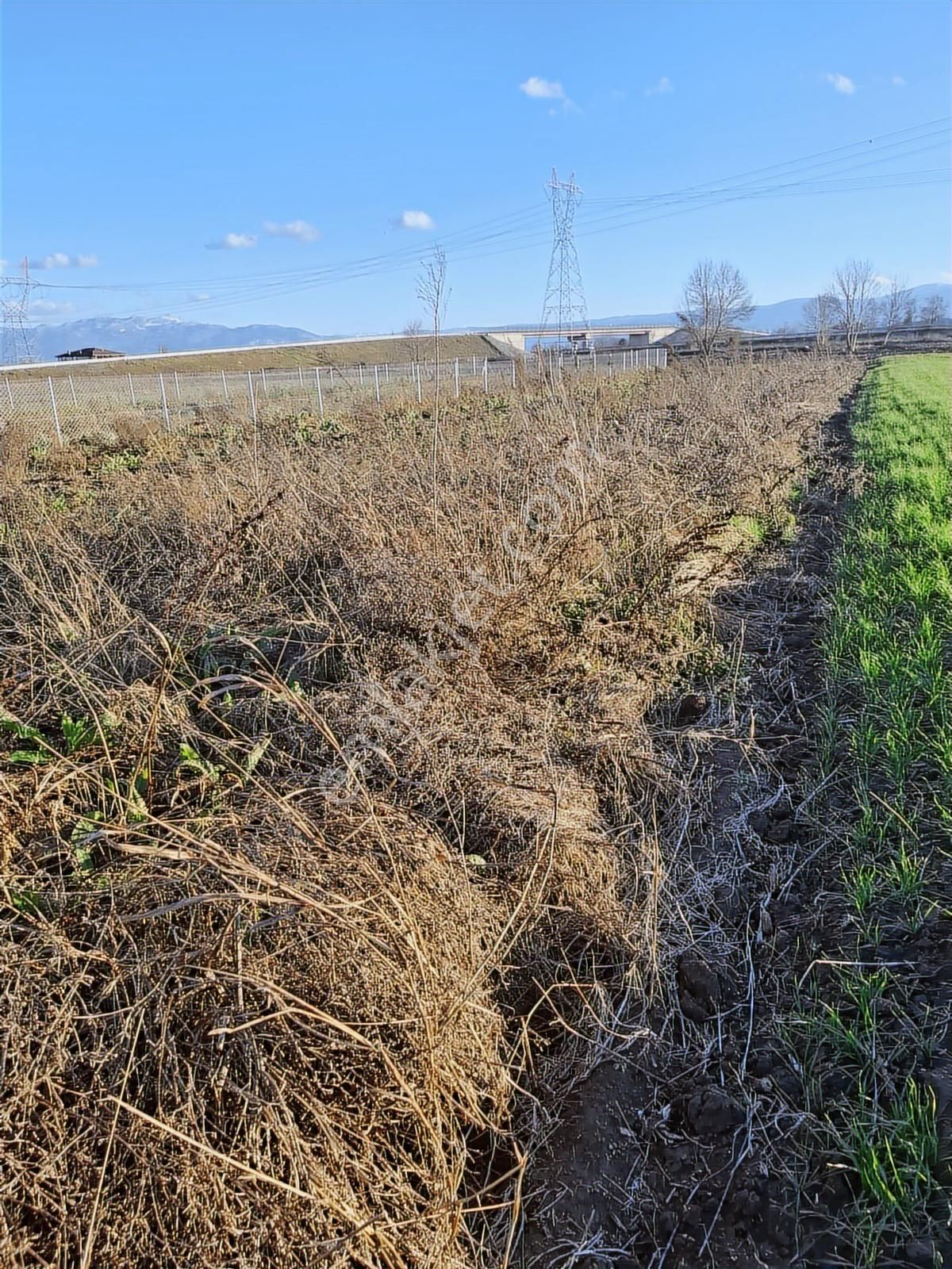 Abalıda Yol Kenarı Yatırımlık Fırsat ! 750 M2 Harika Lokasyon ! - Görsel 12
