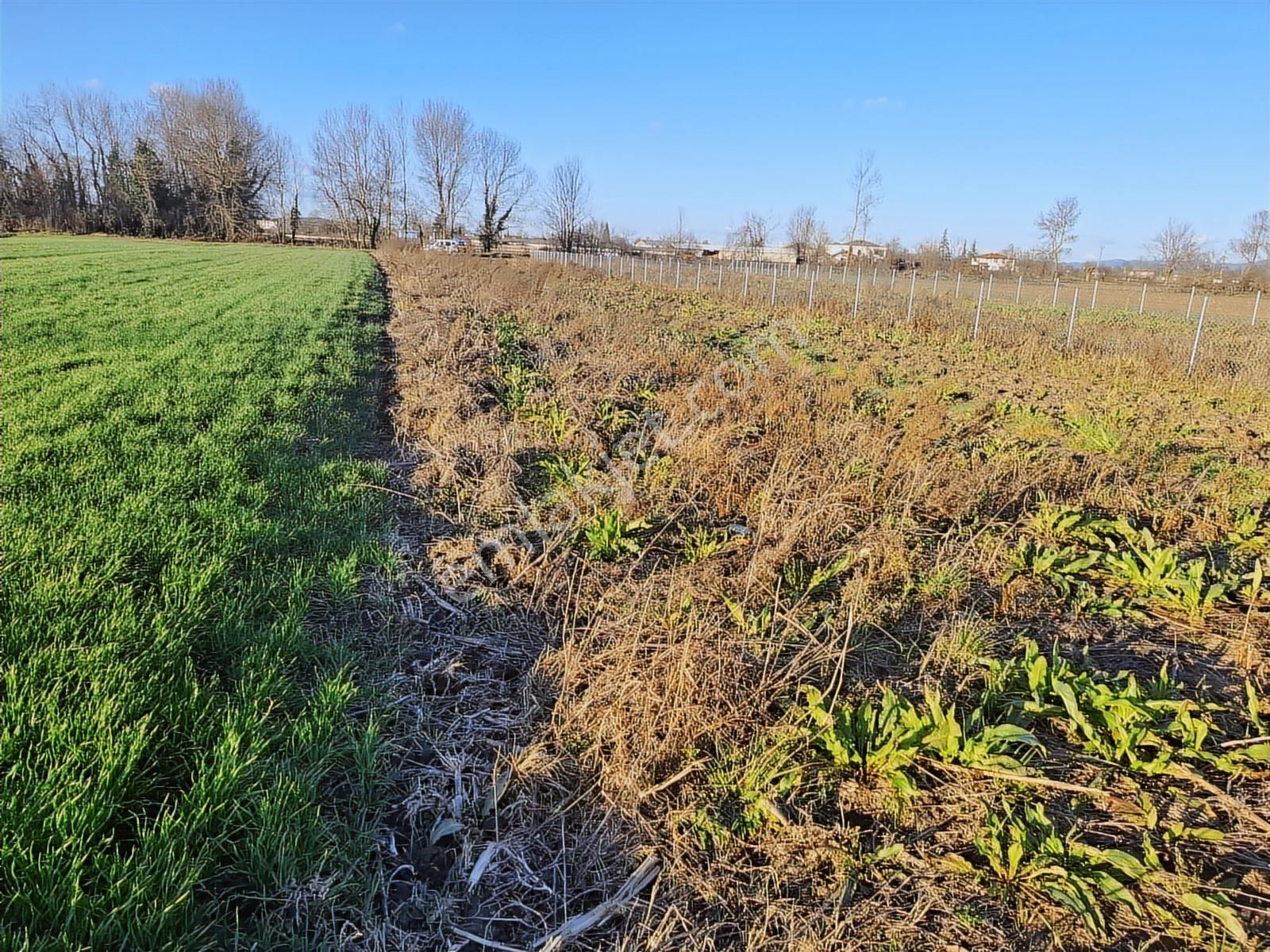 Abalıda Yol Kenarı Yatırımlık Fırsat ! 750 M2 Harika Lokasyon !