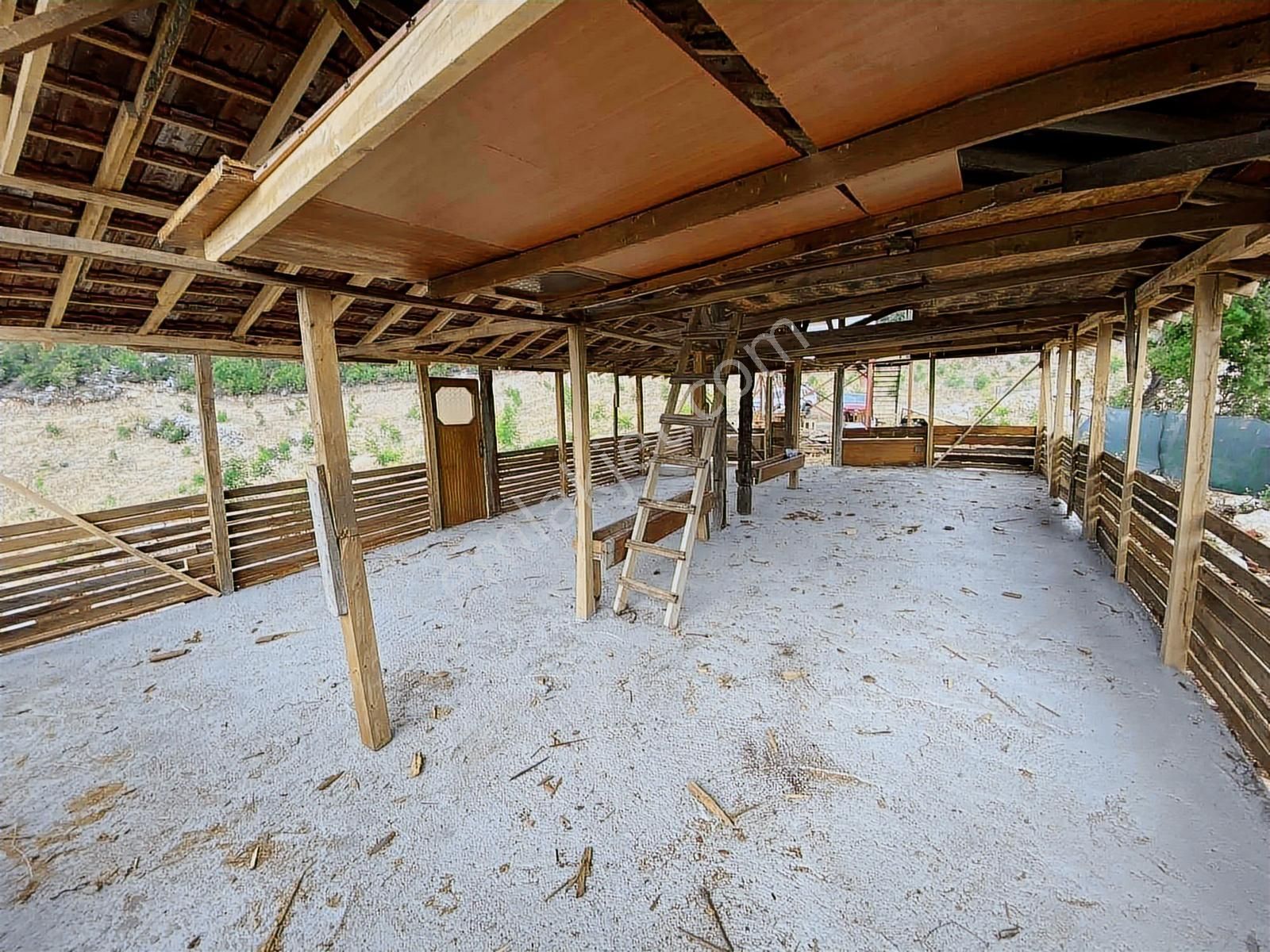 Kuzca Köyü Keleste Herşeyi Hazır Çiftlik Ve Arsası Kurulu Düzen - Görsel 29