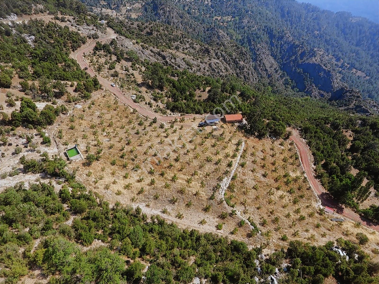 Kuzca Köyü Keleste Herşeyi Hazır Çiftlik Ve Arsası Kurulu Düzen