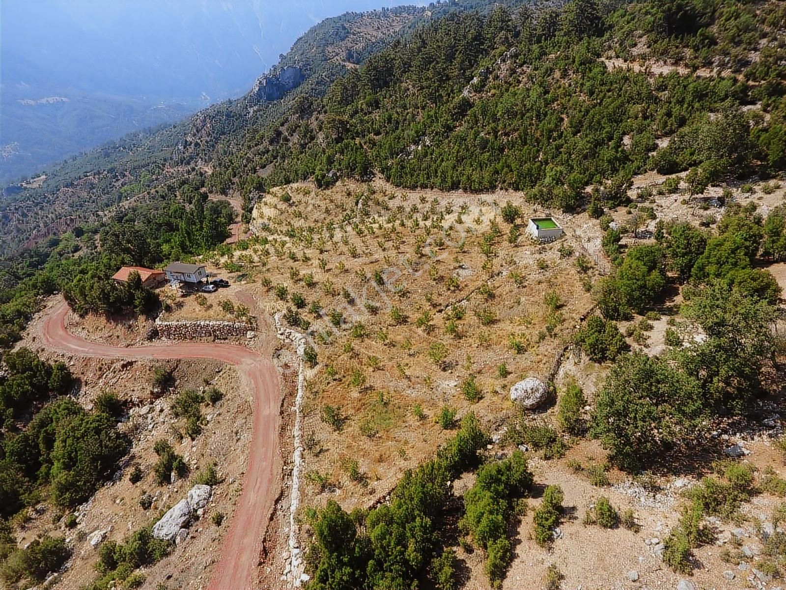 Kuzca Köyü Keleste Herşeyi Hazır Çiftlik Ve Arsası Kurulu Düzen - Görsel 27
