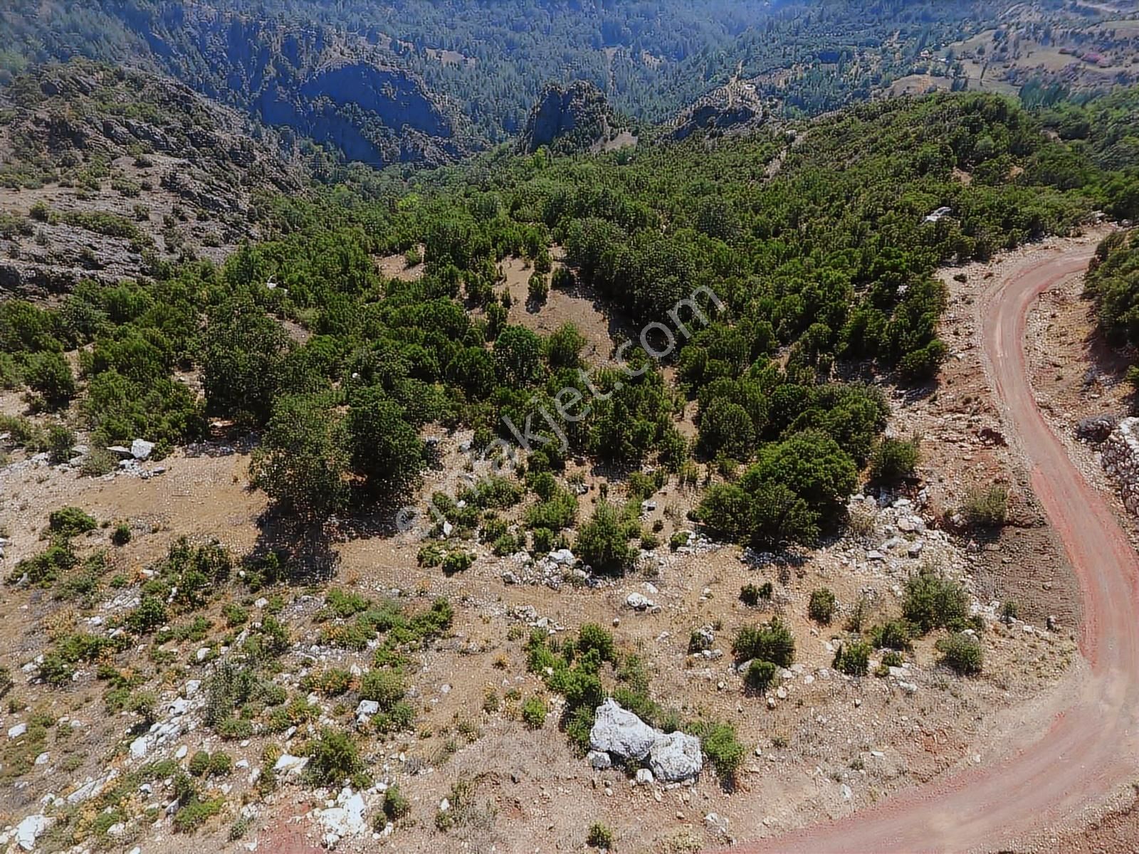 Kuzca Köyü Keleste Herşeyi Hazır Çiftlik Ve Arsası Kurulu Düzen - Görsel 8