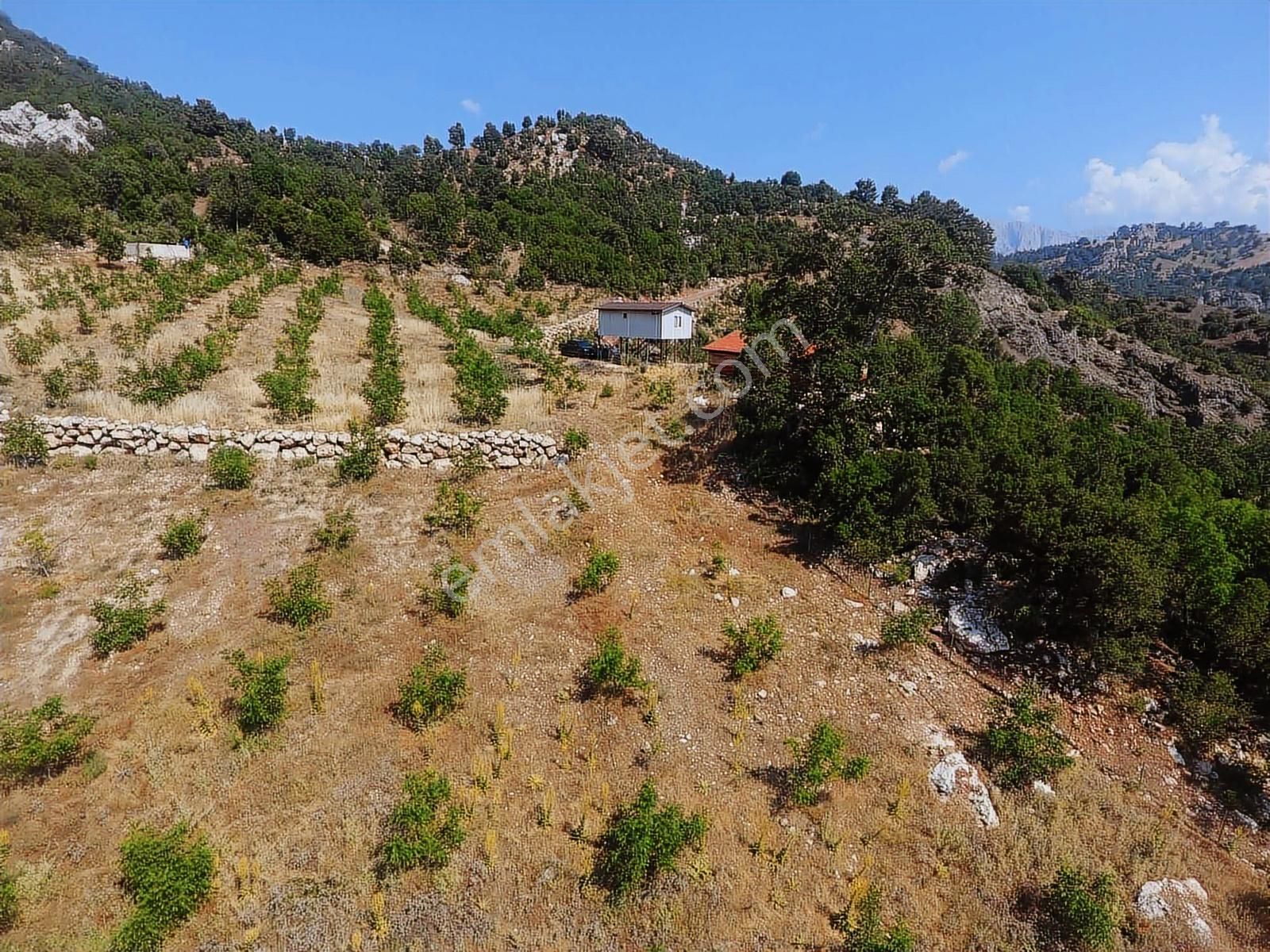 Kuzca Köyü Keleste Herşeyi Hazır Çiftlik Ve Arsası Kurulu Düzen - Görsel 19