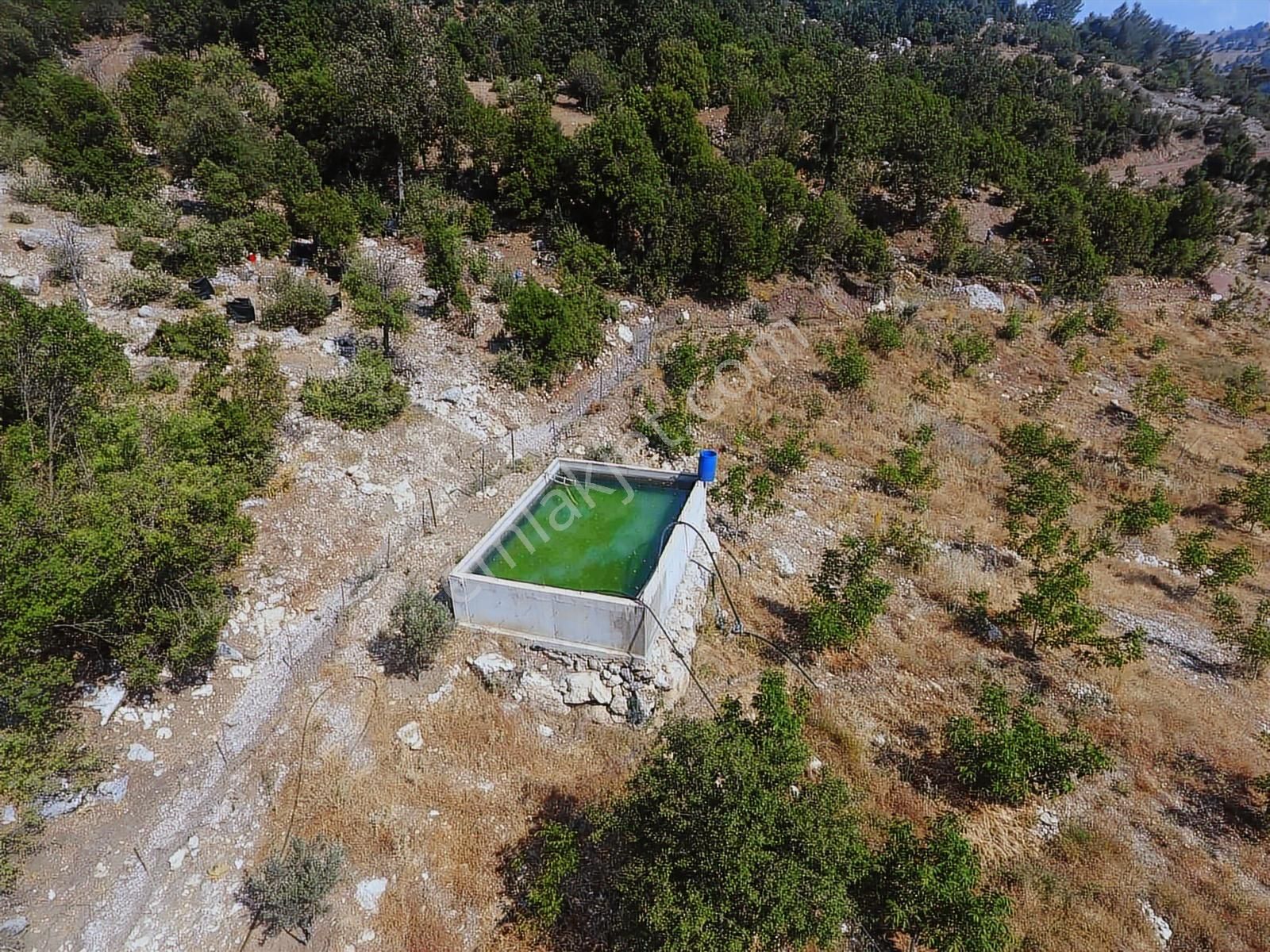Kuzca Köyü Keleste Herşeyi Hazır Çiftlik Ve Arsası Kurulu Düzen - Görsel 16