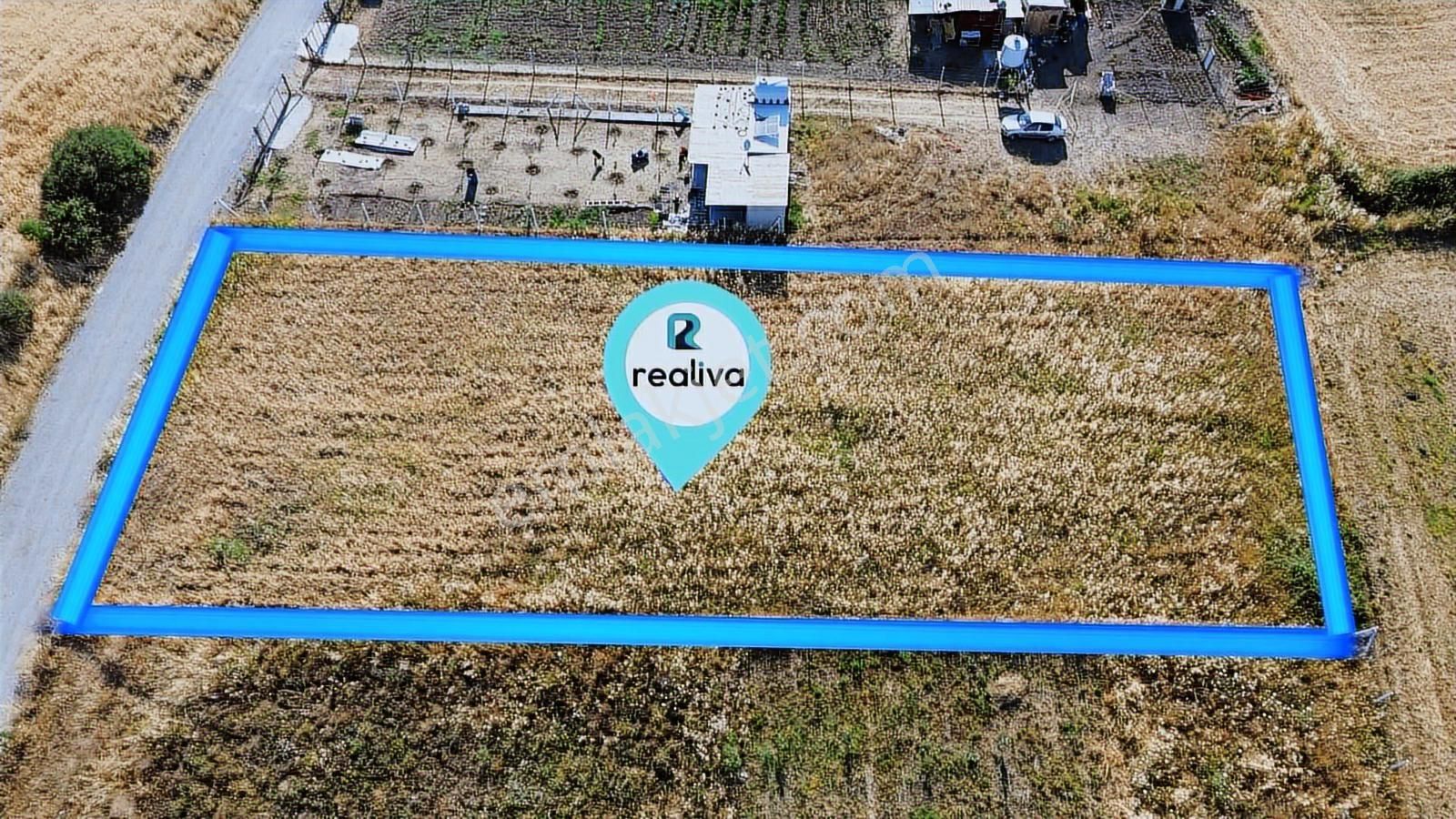 Realivadan Aliağa Çıtak'ta Müsatkil Tapulu Satılık Tarla - Görsel 2