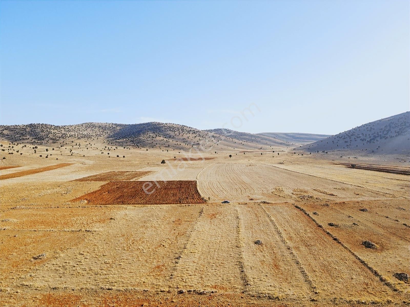 Antalya Korkuteli Sımandır Mah. Elmalı Yolu Yakını Kupon Tarla - Görsel 9