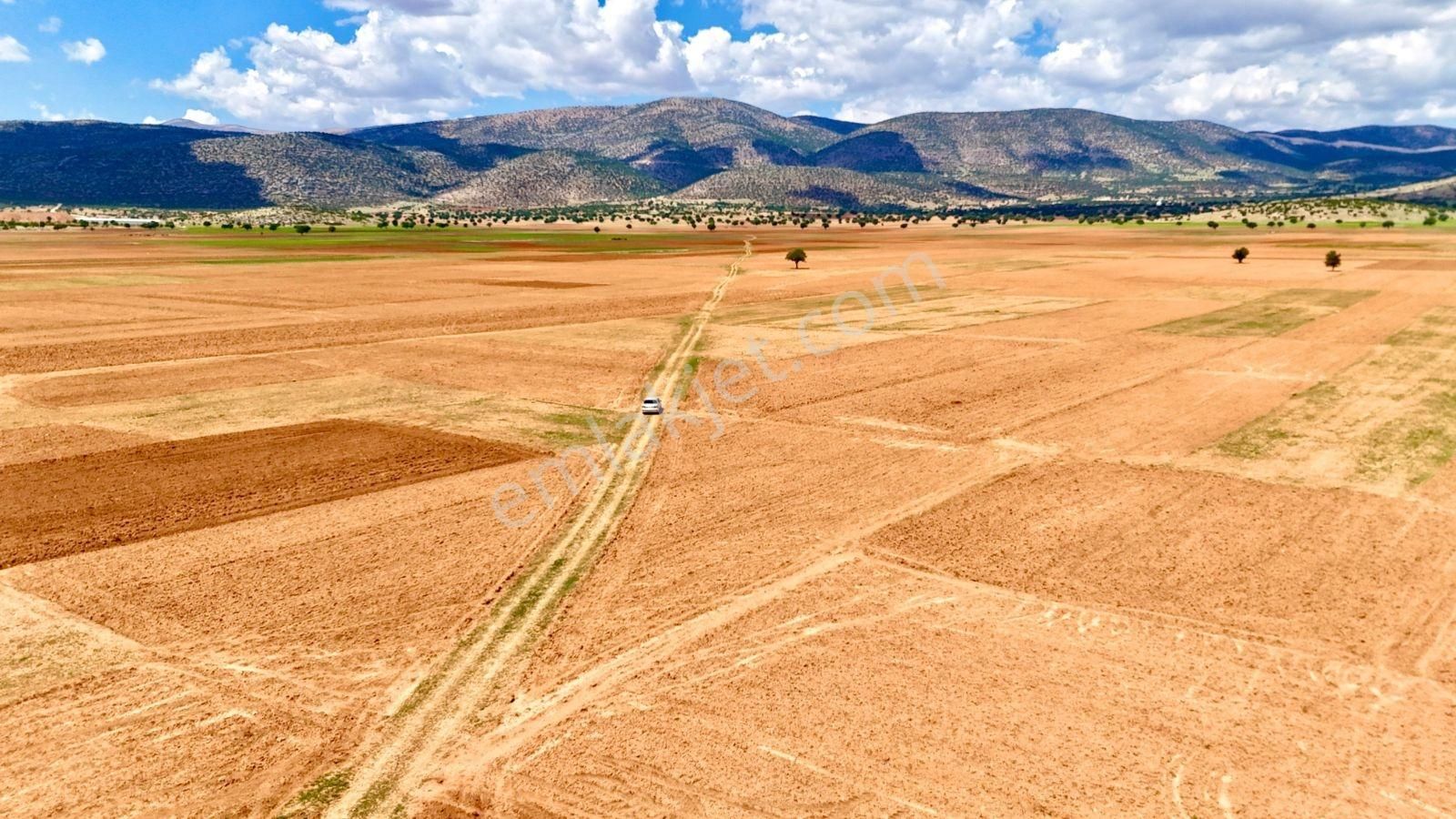 Köy Yerleşim Yeri Yakını Konteyner Yeri - Görsel 2