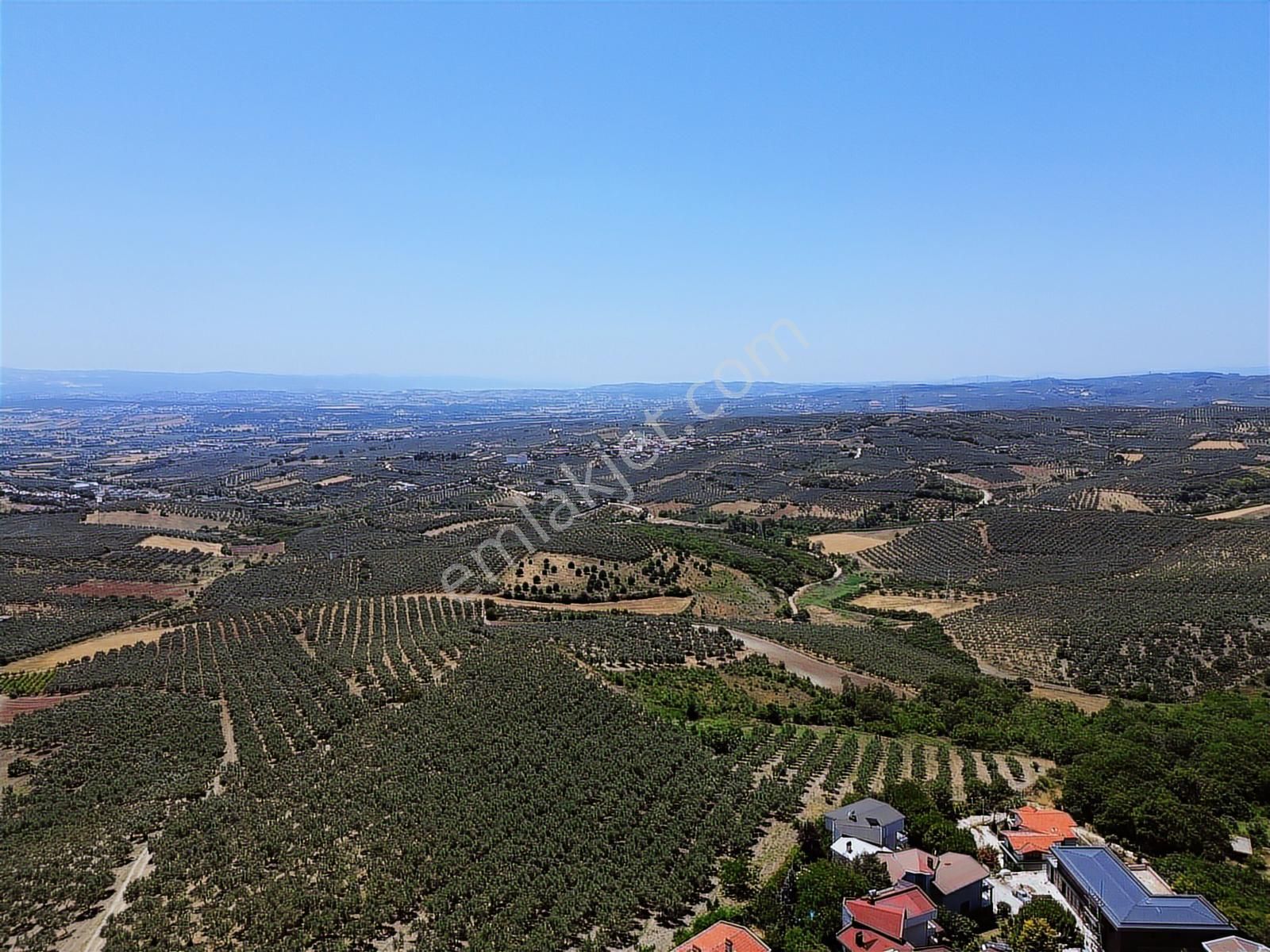 Dialog Prestij Mürselde Doğanın Ve Konforun Buluştuğu Özel Villa - Görsel 21