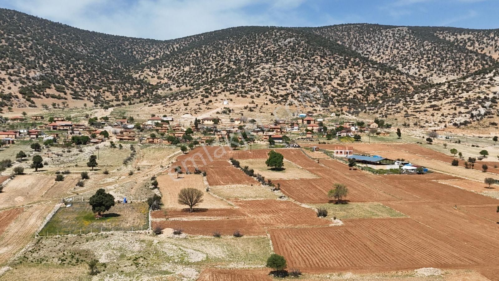 Beğîş Susuz Sulama Sahası İçinde Yerleşim Yakını Konteyner Yerı - Görsel 9