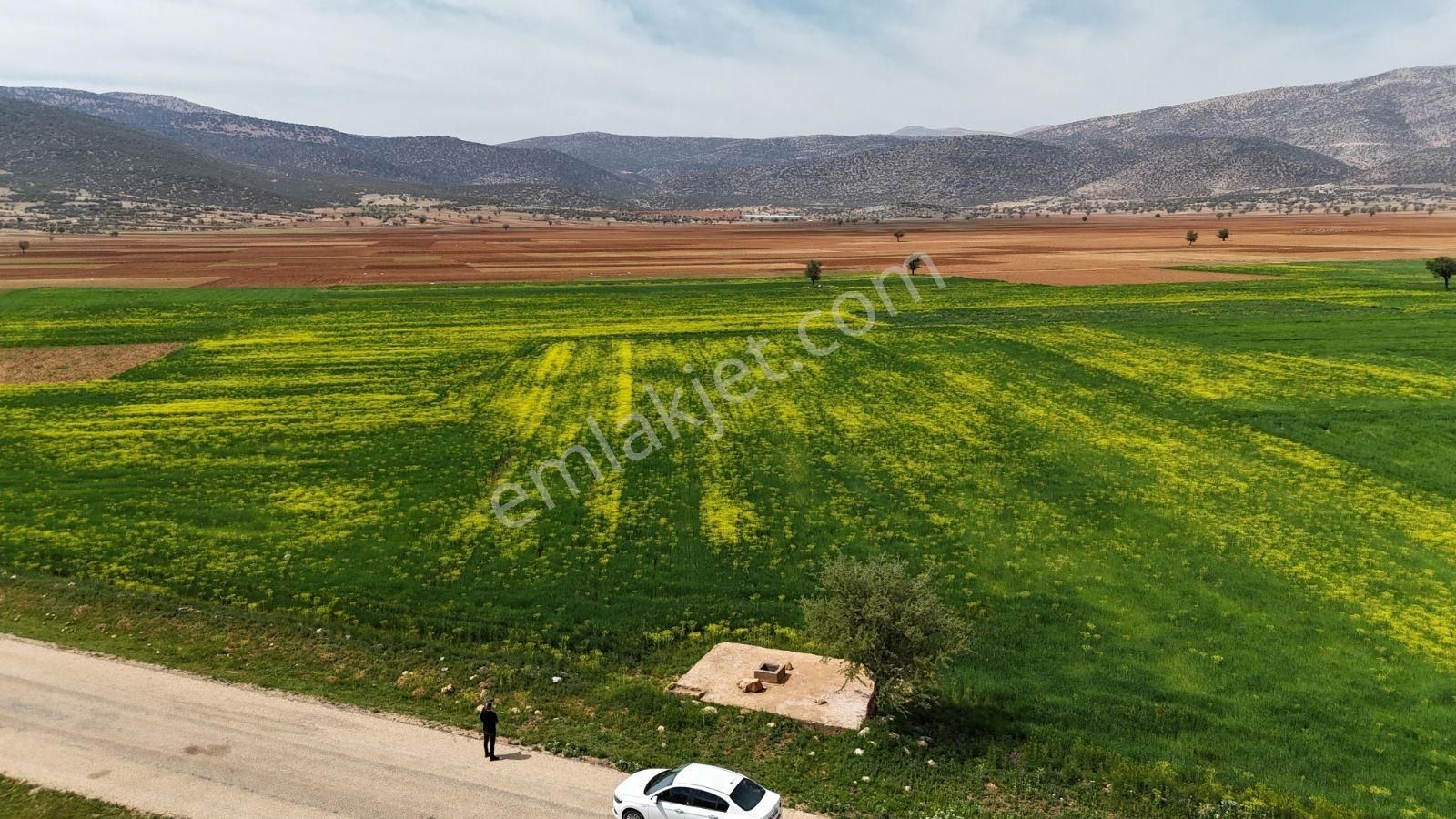 Beğîş Susuz Sulama Sahası İçinde Yerleşim Yakını Konteyner Yerı - Görsel 4
