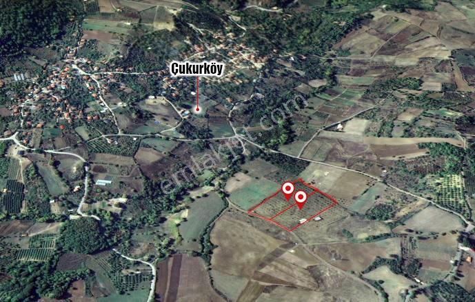 Beynil'den Yalova Çukurköy'de 22.5 Dönüm Satılık Ceviz Bahçesi - Görsel 9