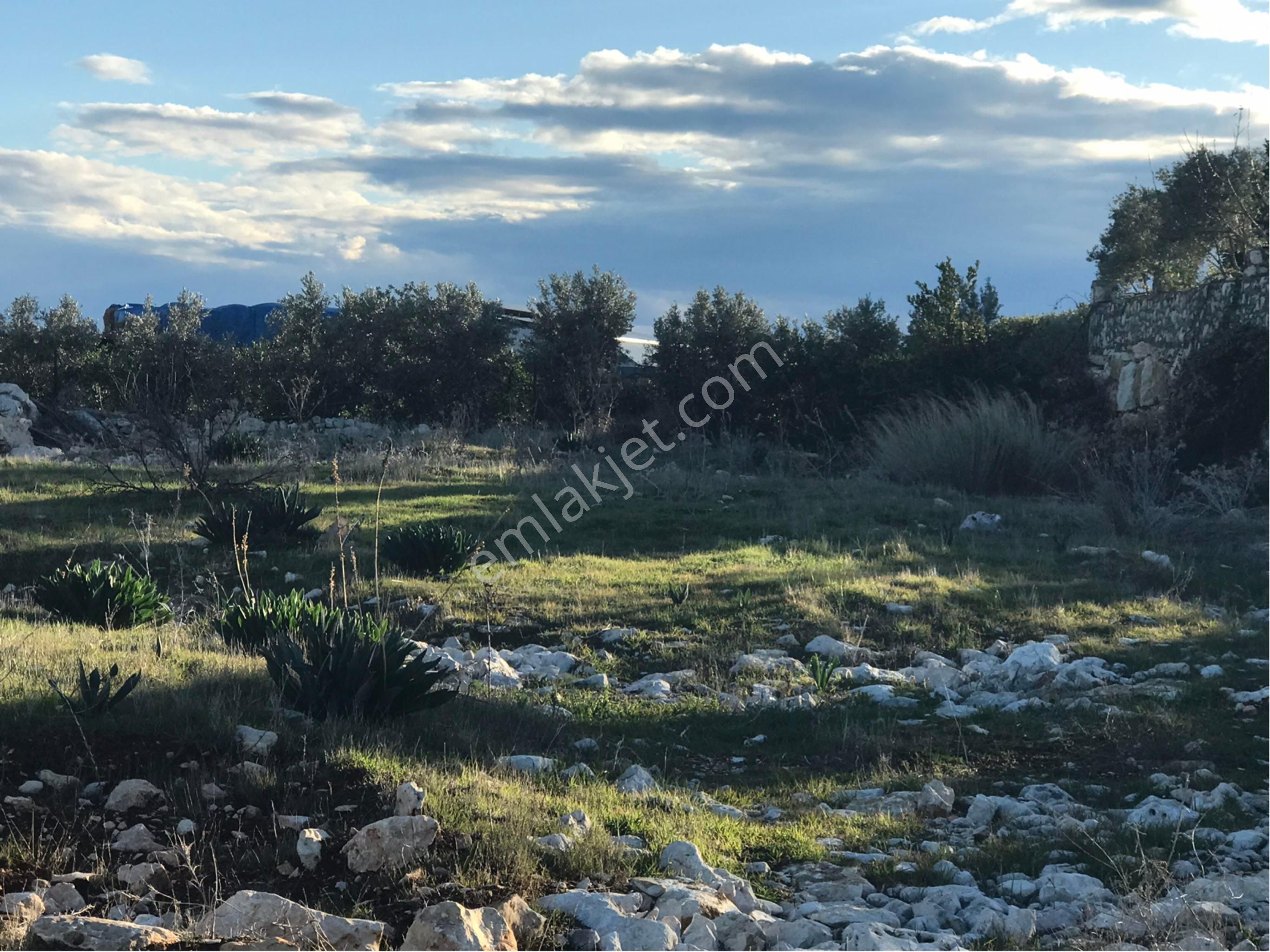 Kale Emlaktan Narlıkuyu’da Satılık Deniz Manzaralı Arsa - Görsel 10