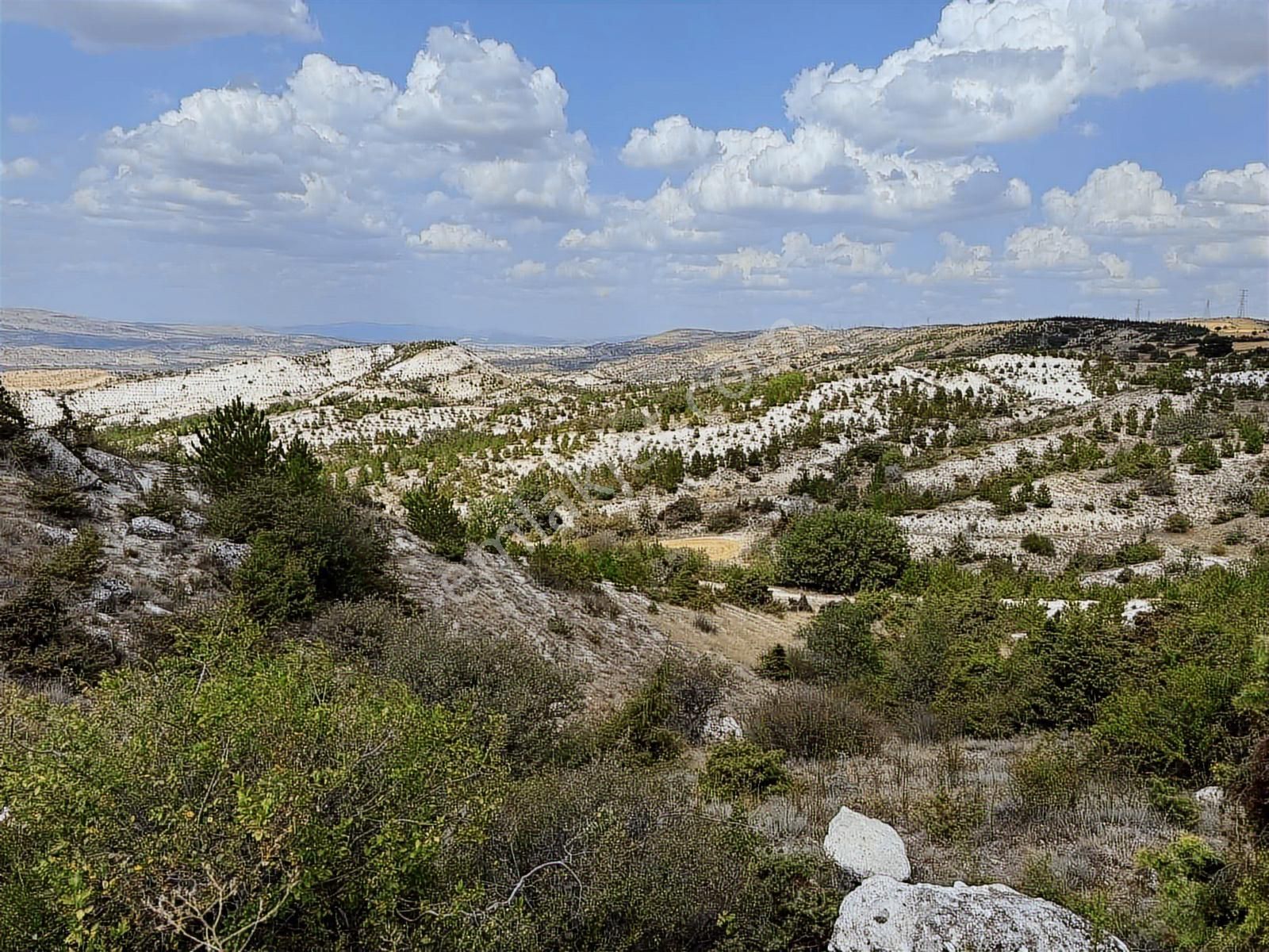 At_deresi_yakını Ormana Cephe_tek Tapu_bahçeye__uygun 3881m2 - Görsel 14