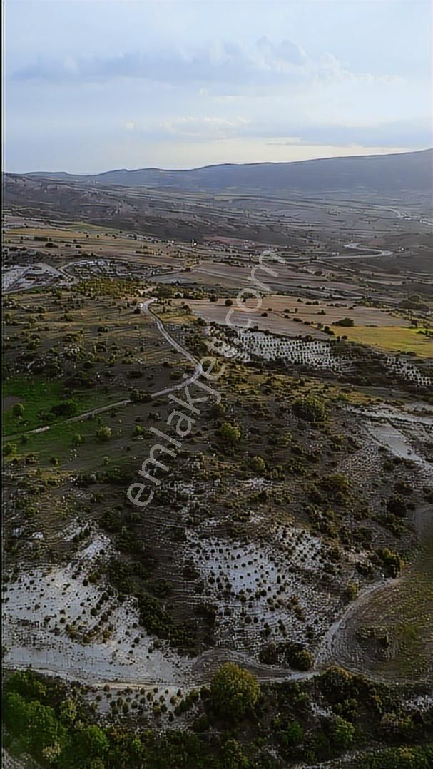 At_deresi_yakını Ormana Cephe_tek Tapu_bahçeye__uygun 3881m2 - Görsel 8