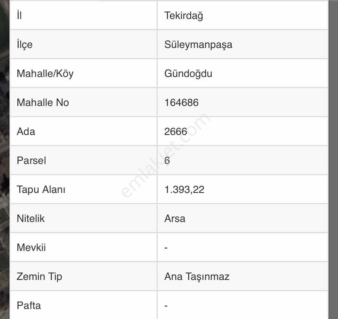 Panoromik Villa Arsası | Köseilyas Aksı | Atatürk, Süleymanpaşa - Görsel 4