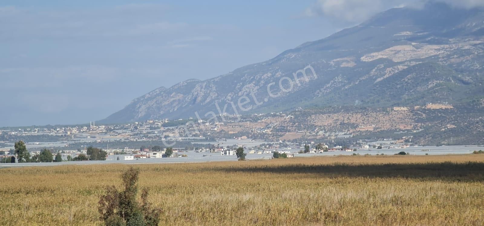 Acil İhtiyaçtan Kaş Üzümlüde 6.204 M2 Sera Arsası - Görsel 5