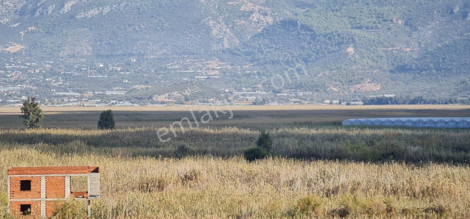 Acil İhtiyaçtan Kaş Üzümlüde 6.204 M2 Sera Arsası - Görsel 12