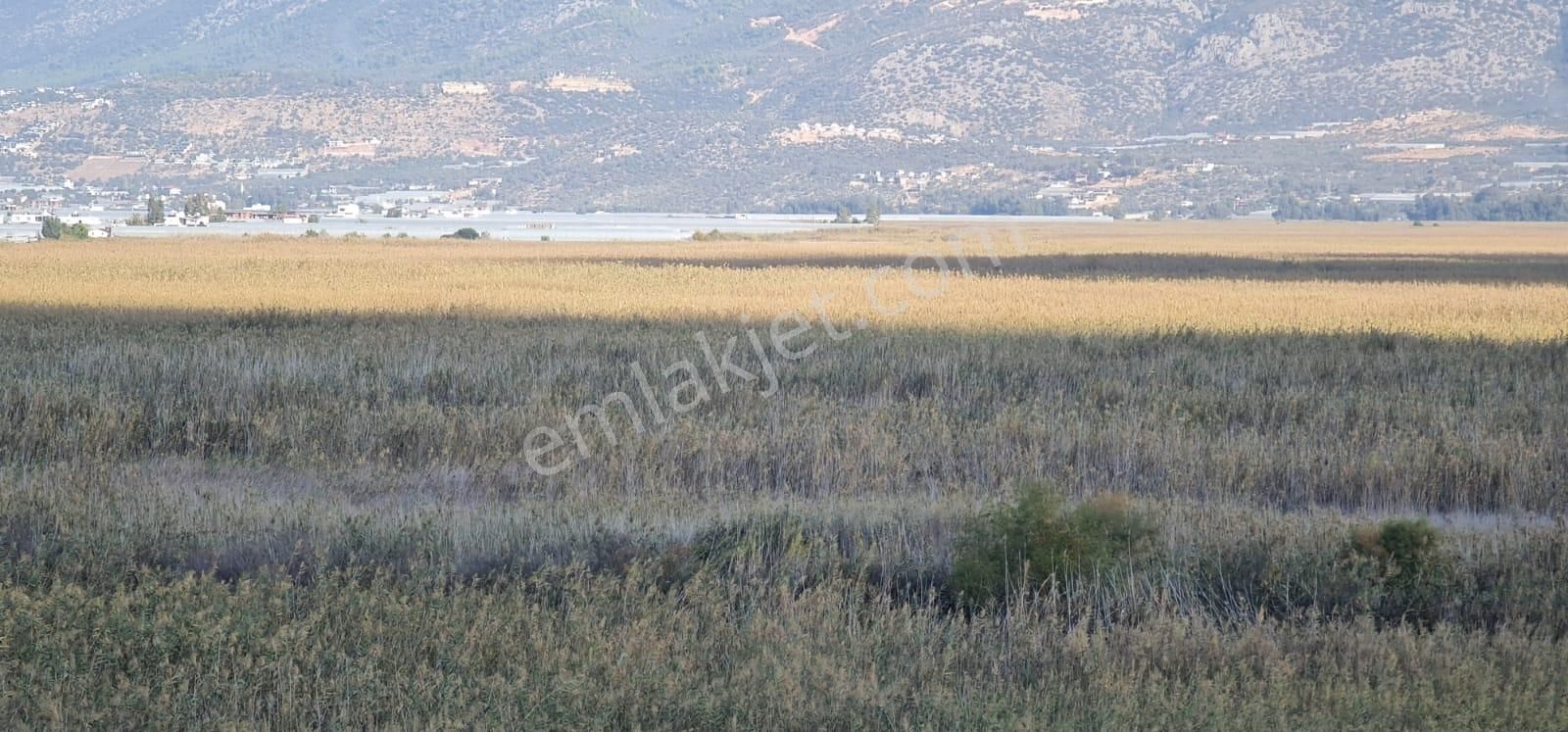 Acil İhtiyaçtan Kaş Üzümlüde 6.204 M2 Sera Arsası - Görsel 14