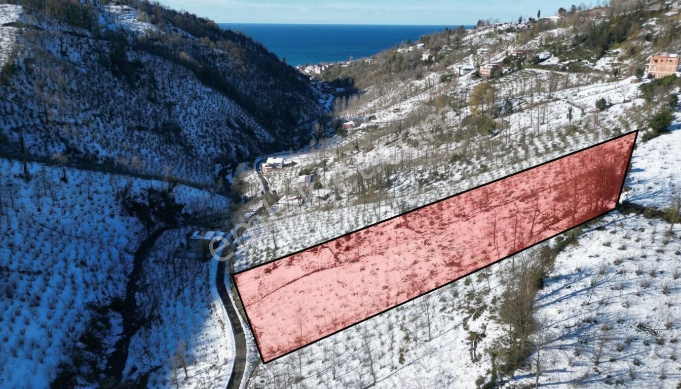 Century 21'den Perşembe Medreseönü'nde 2113 M2 Yatırımlık Bahçe