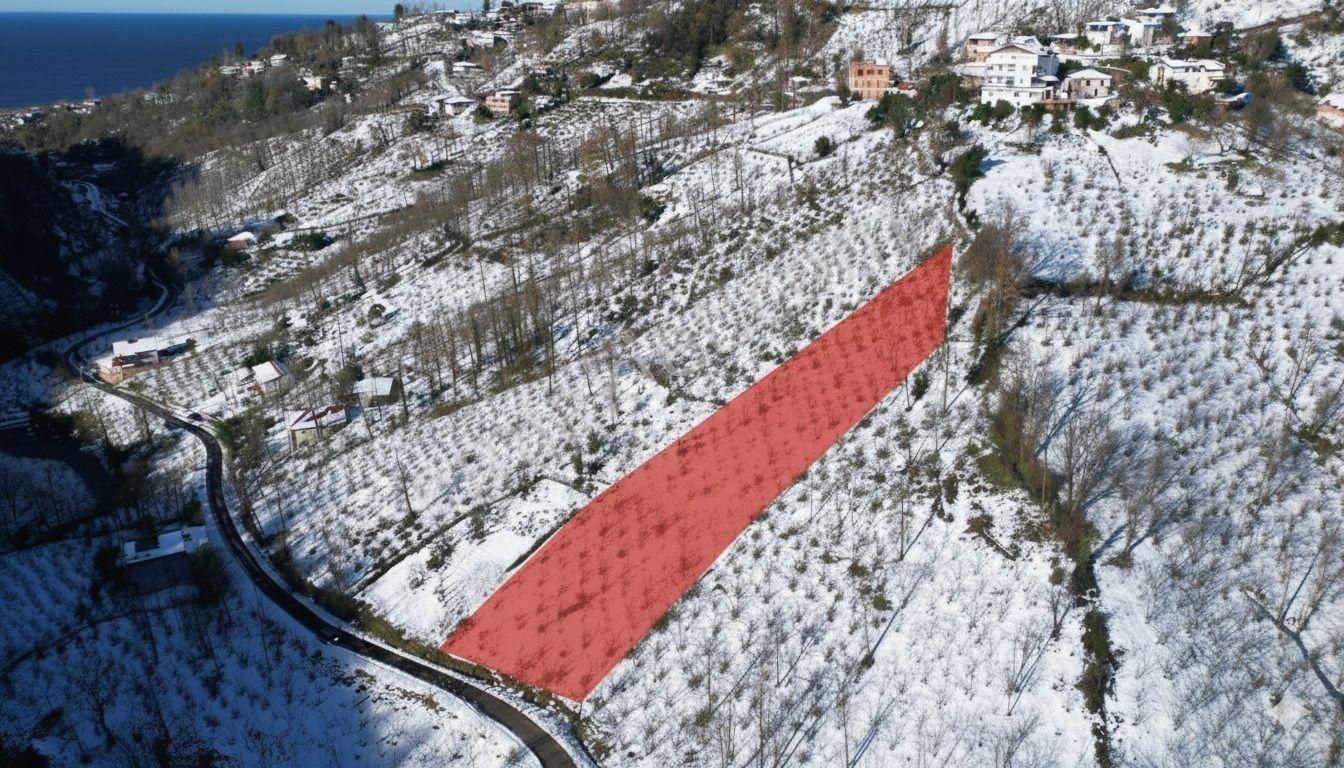 Century 21'den Perşembe Medreseönü'nde 2113 M2 Yatırımlık Bahçe - Görsel 2