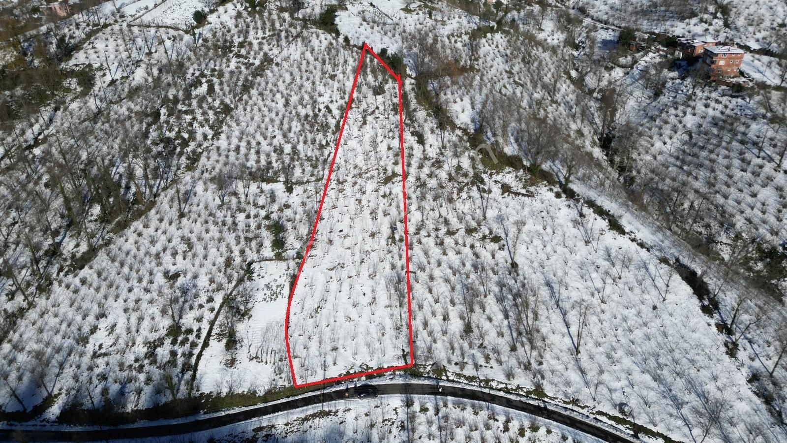 Century 21'den Perşembe Medreseönü'nde 2113 M2 Yatırımlık Bahçe - Görsel 4