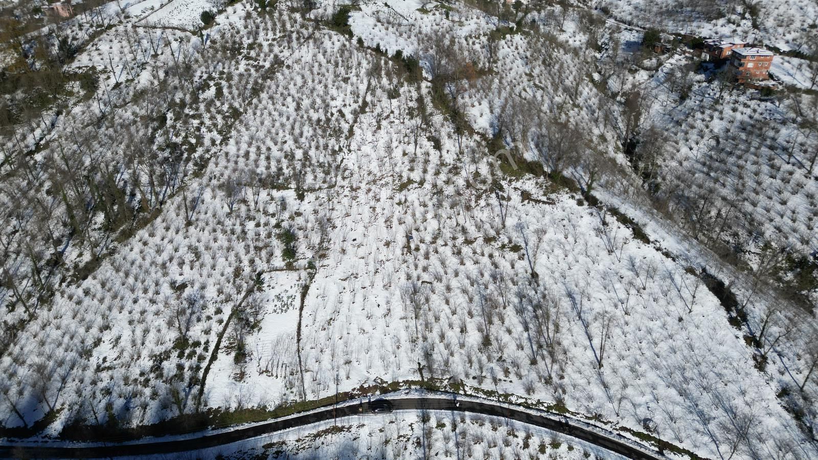Century 21'den Perşembe Medreseönü'nde 2113 M2 Yatırımlık Bahçe - Görsel 8